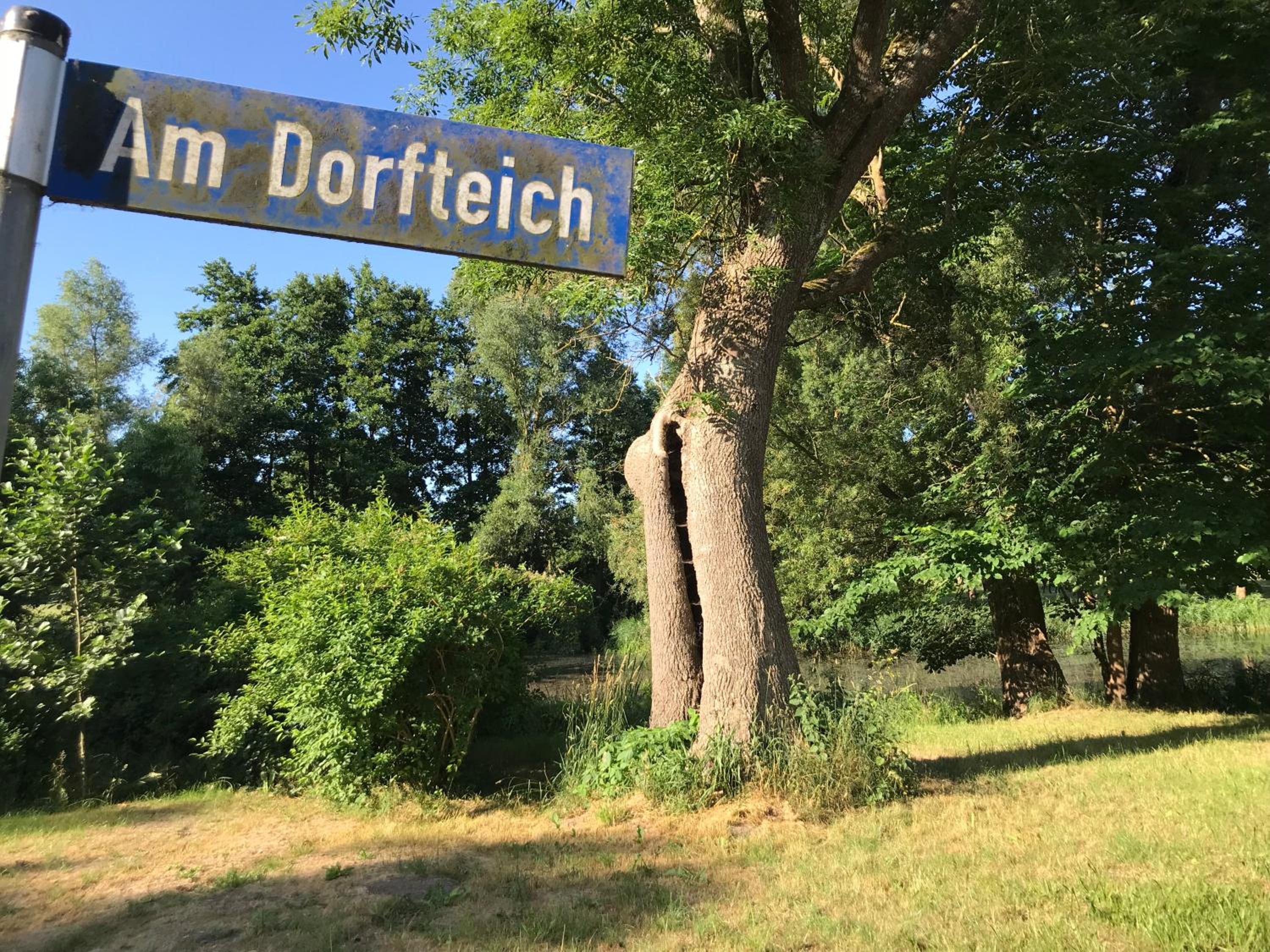 Landhaus zum Storchennest view 5