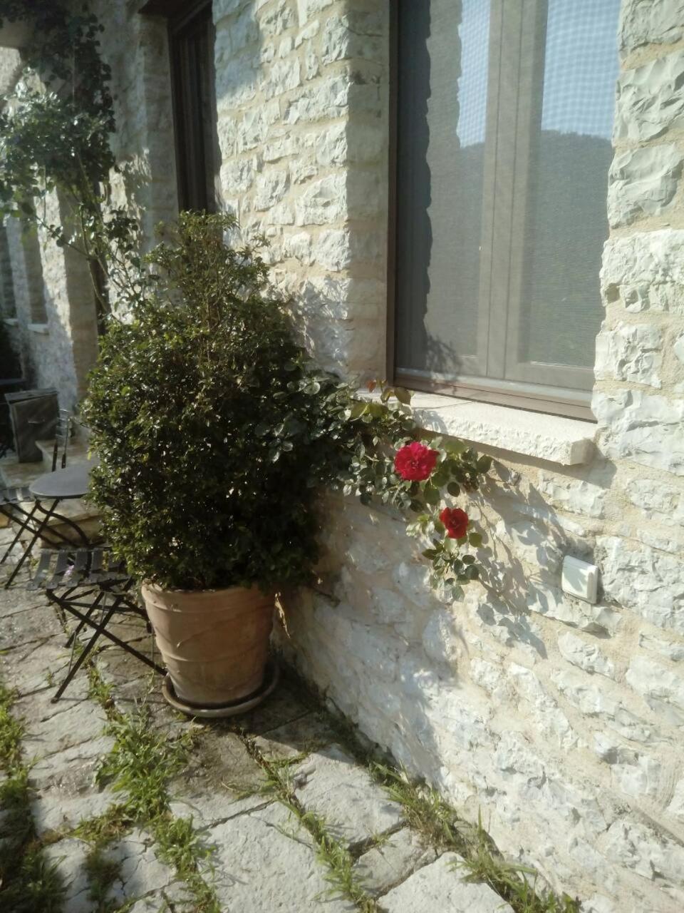 Photo 17