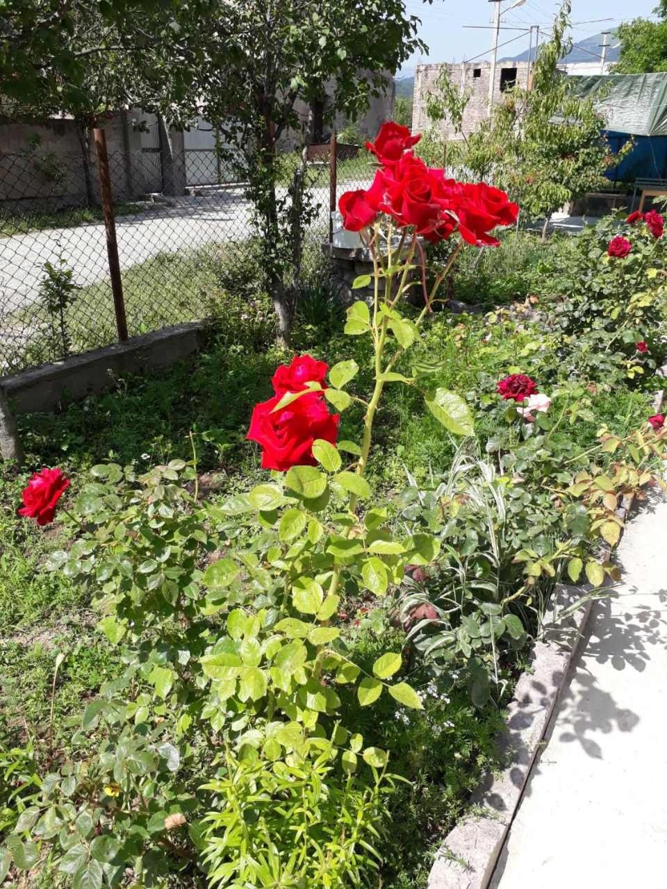 Green Dilijan B&B