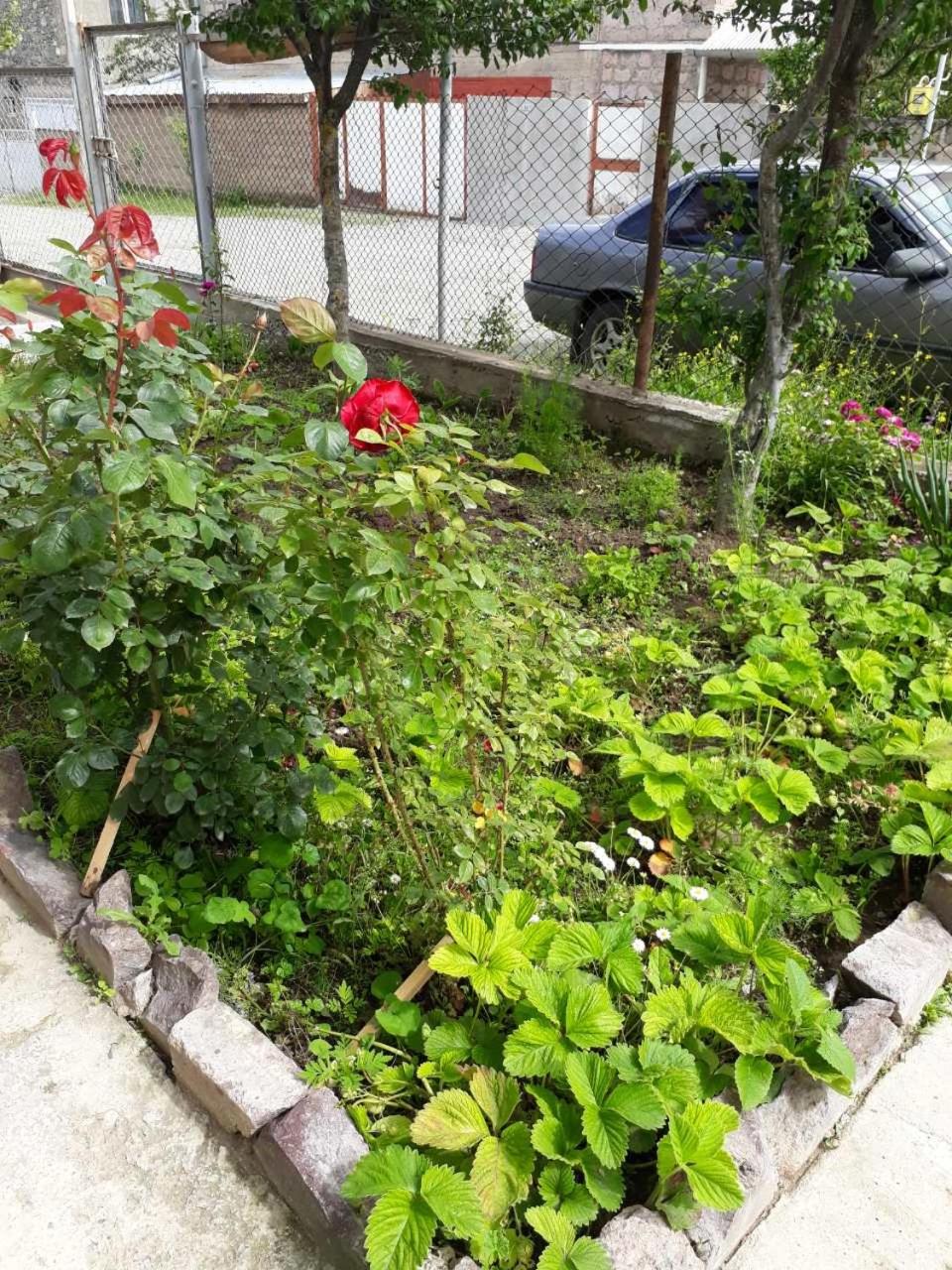 Green Dilijan B&B
