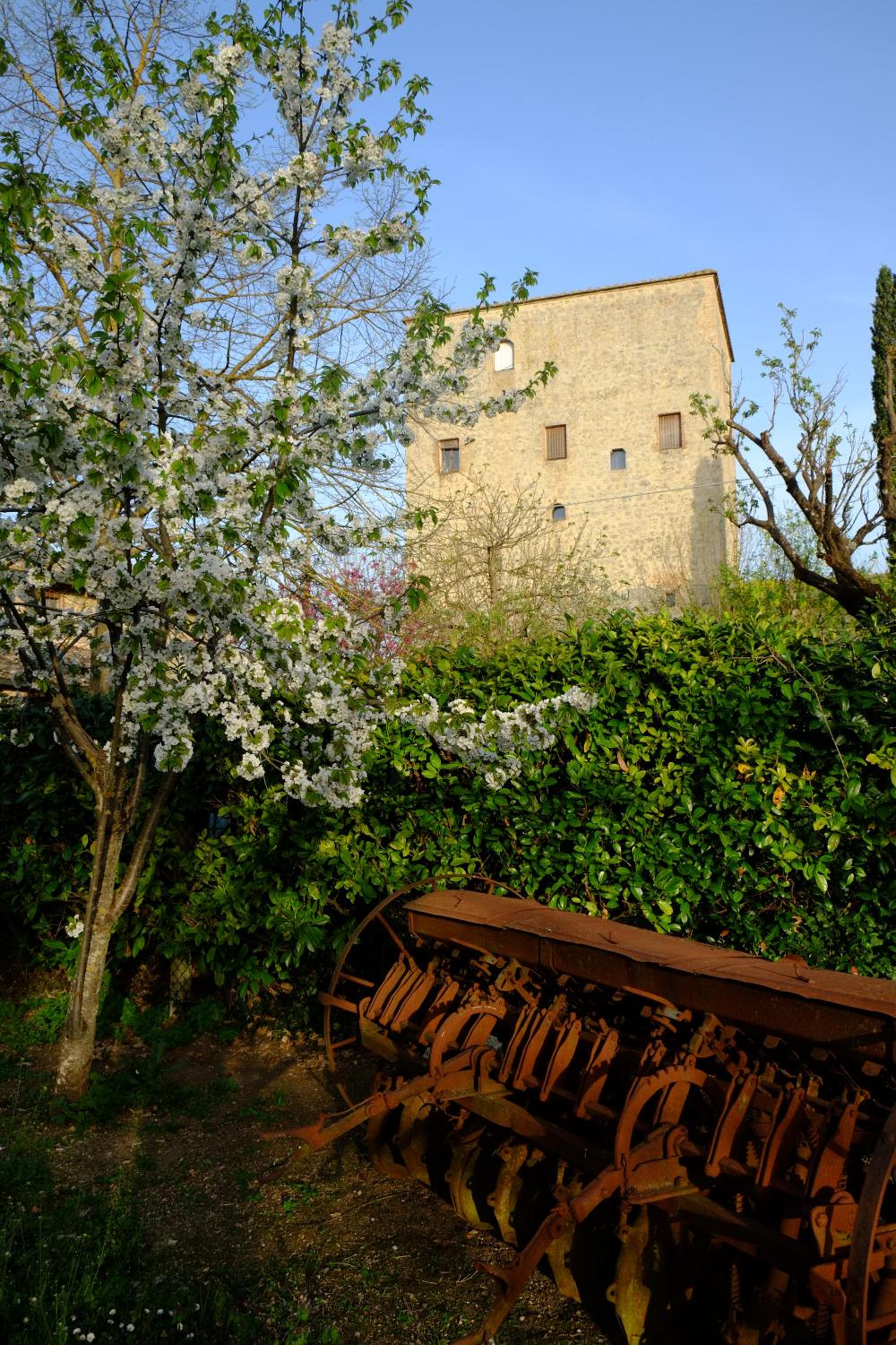 Photo 40