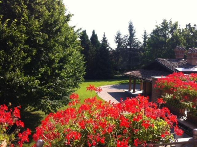 Photo 42