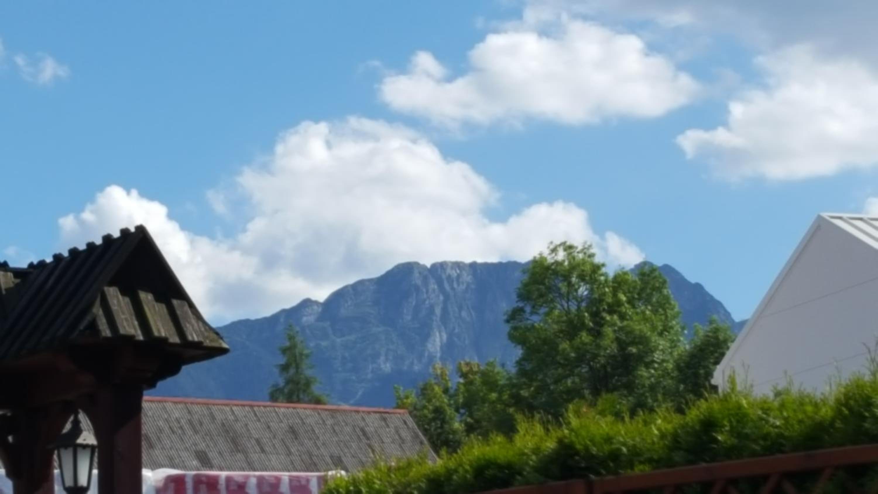 ZAKOgiewont