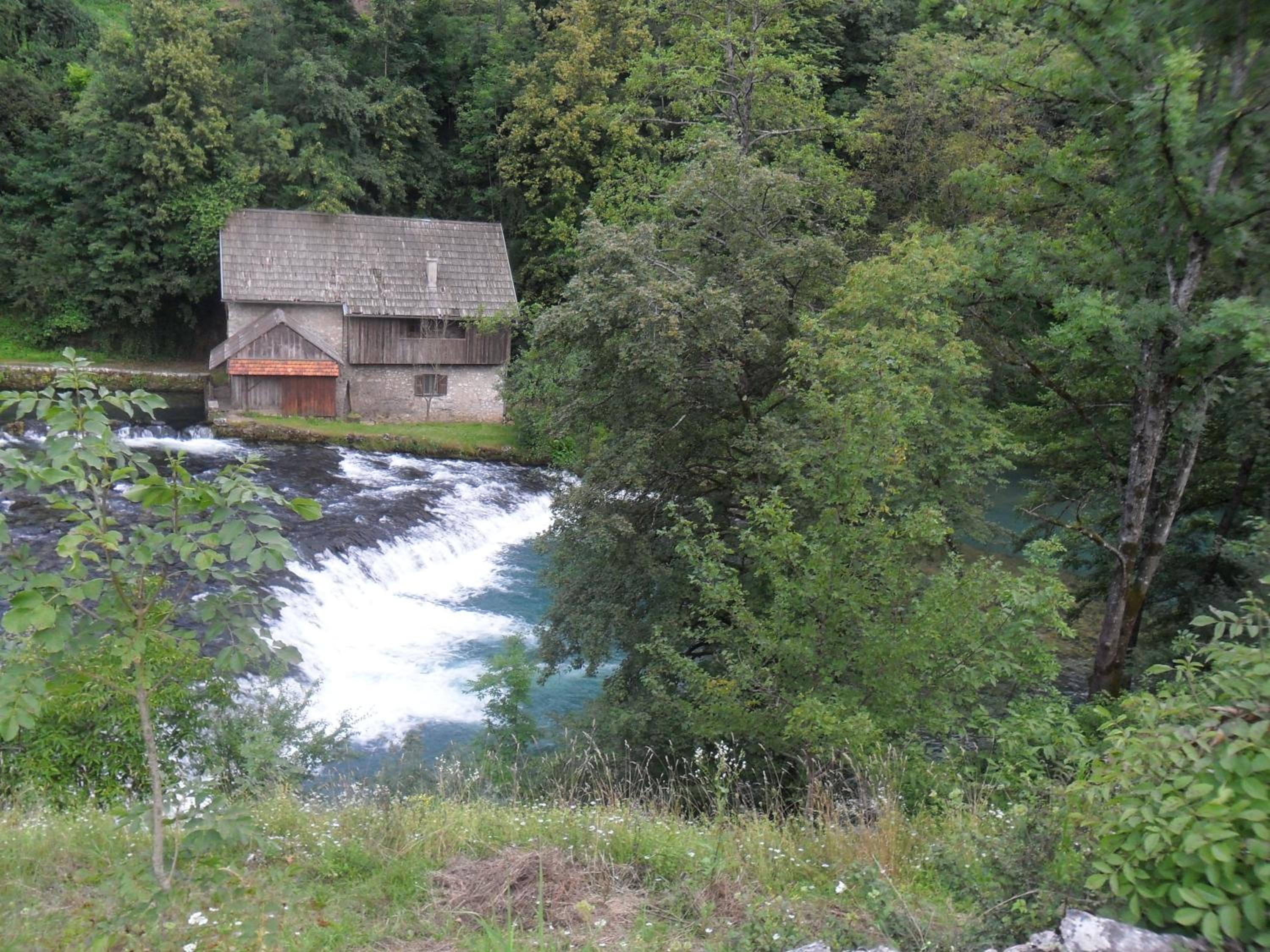 Photo 25