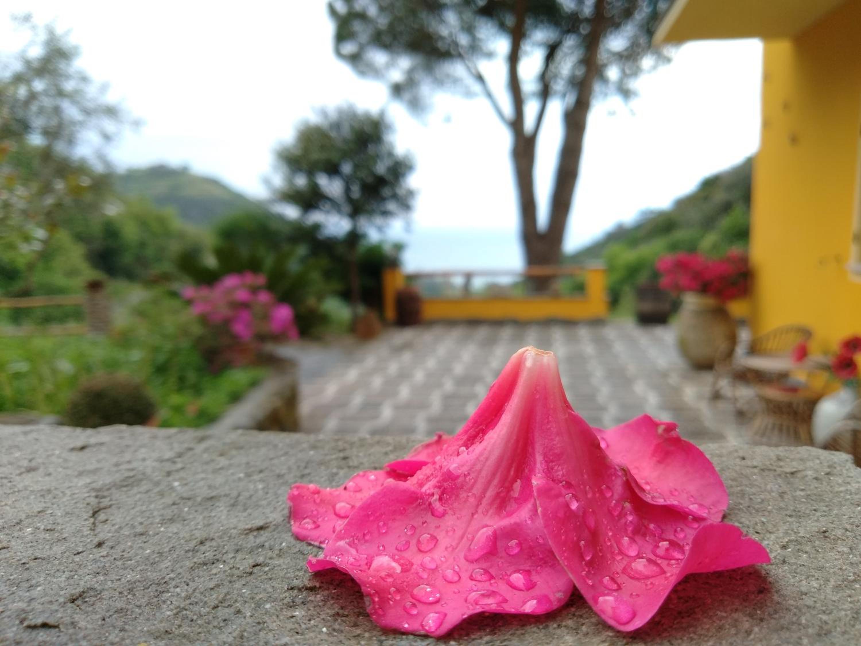 Agriturismo Costa di Campo