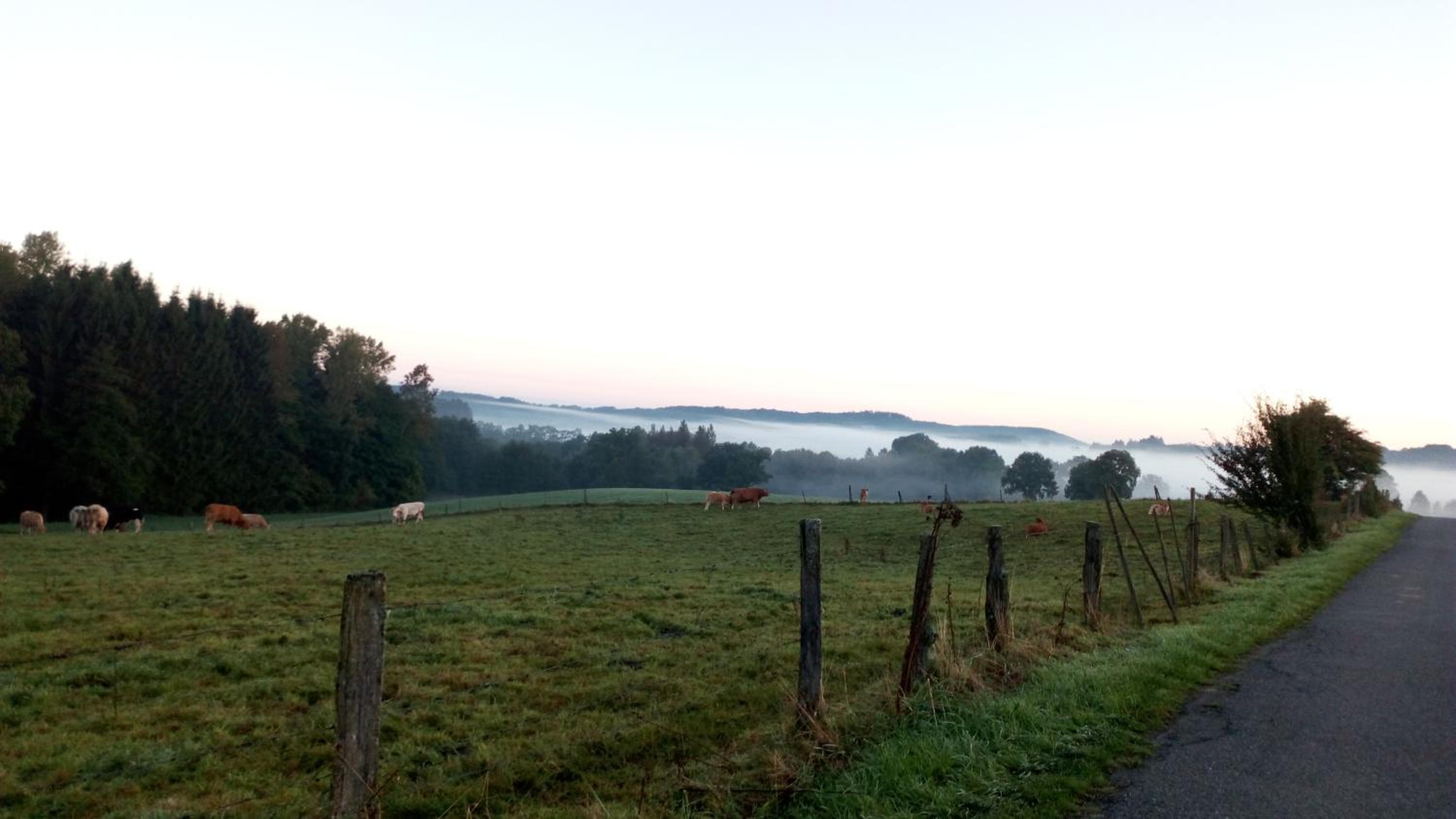 La croisée des champs, gîte entre Durbuy et La Roche en Ardenne