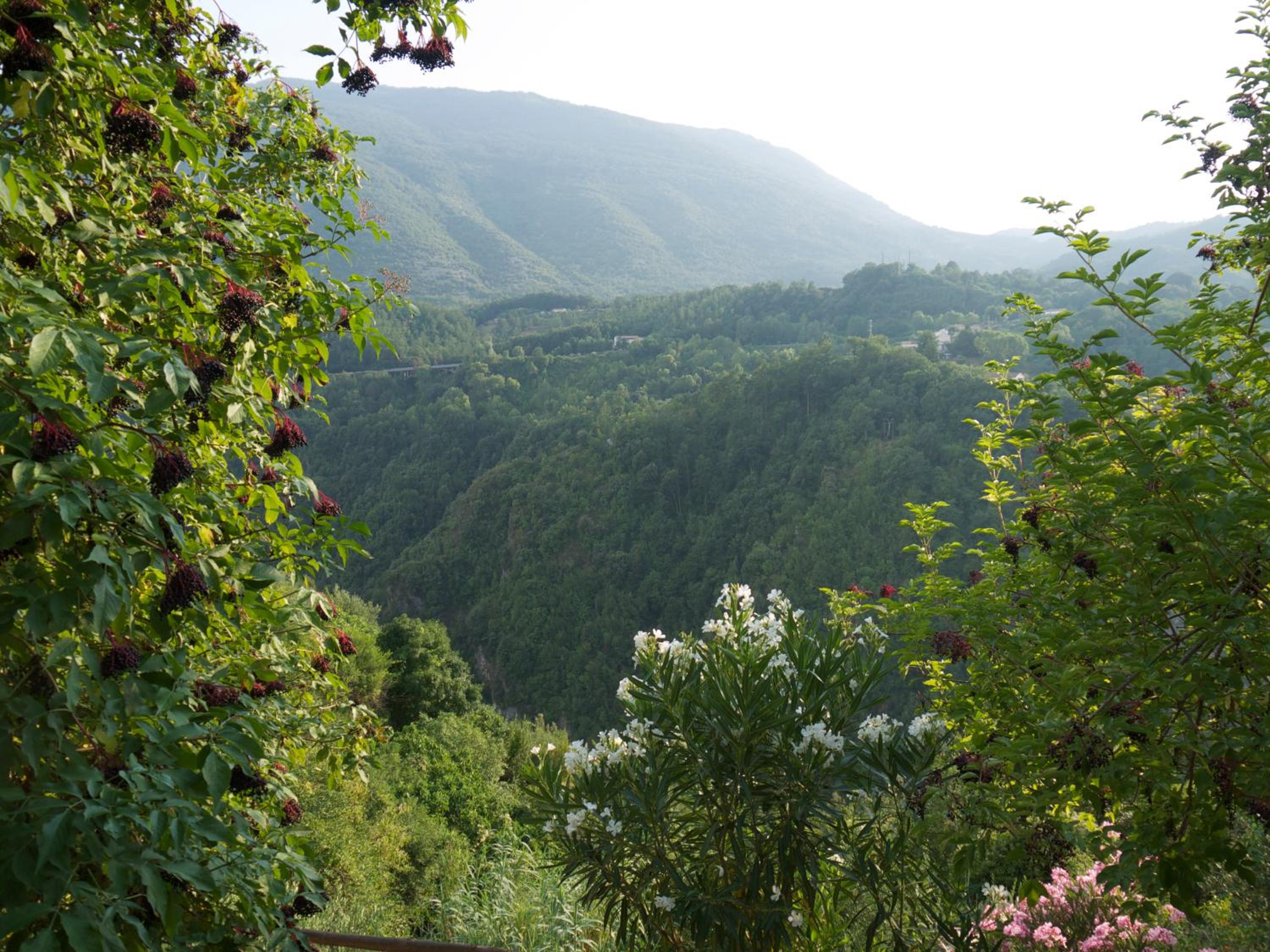 B&B Lo Straniero