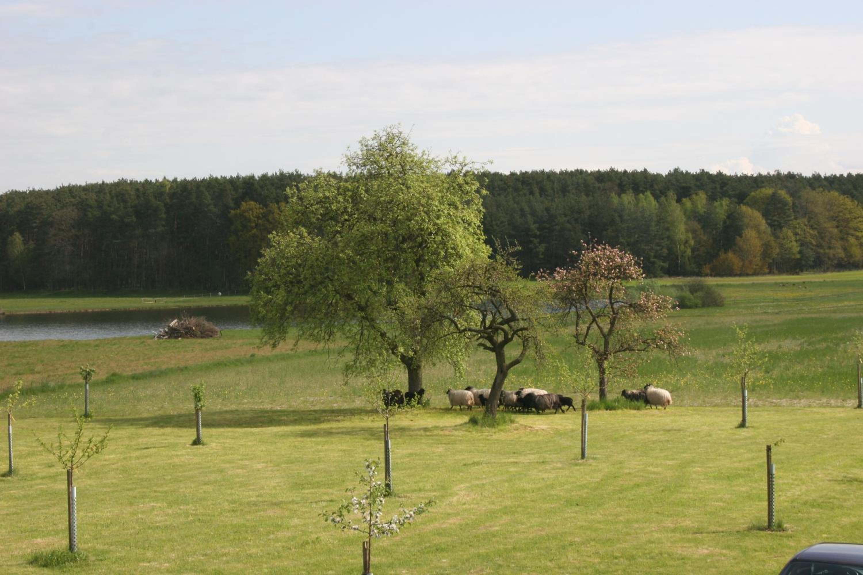 Häusla