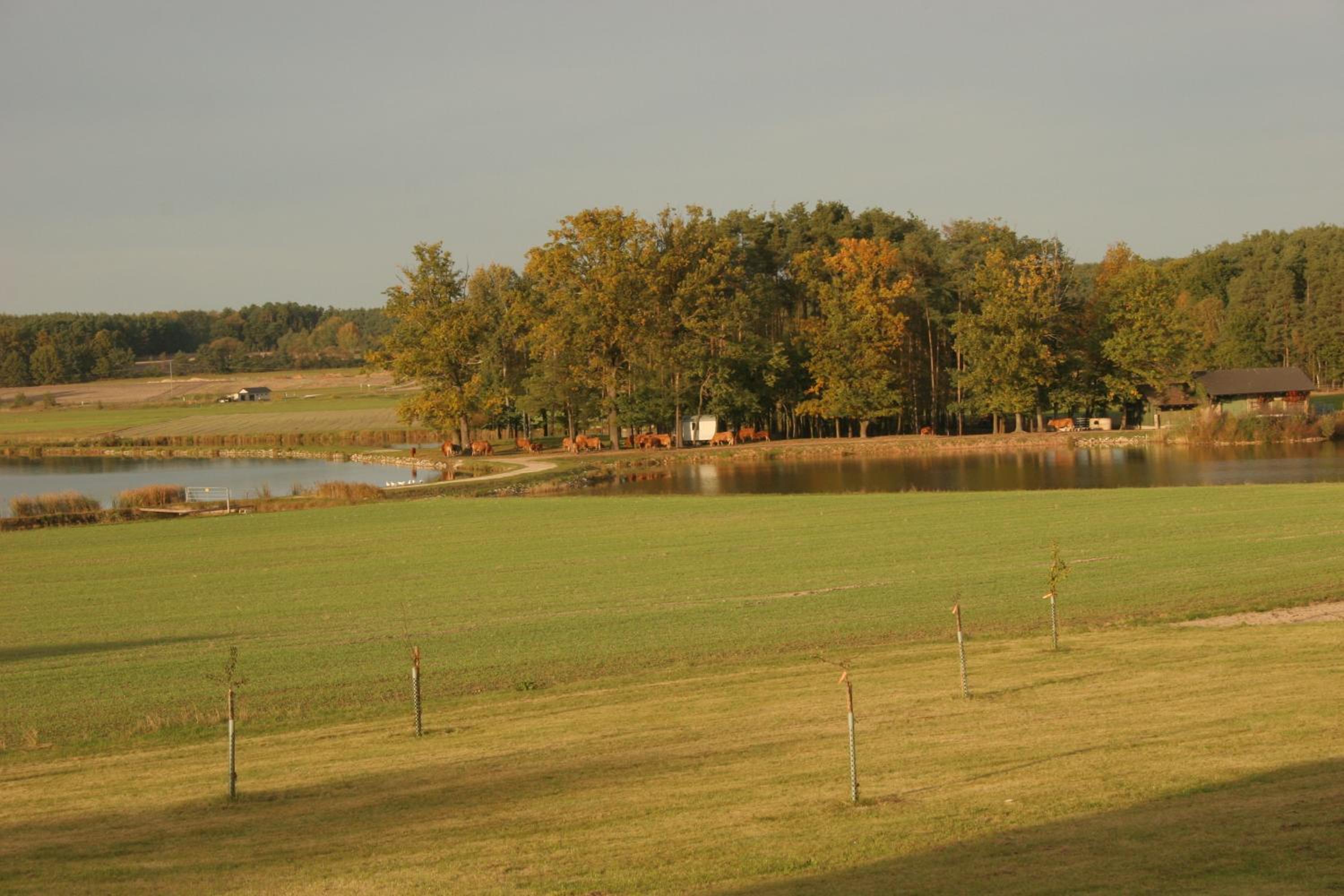 Häusla