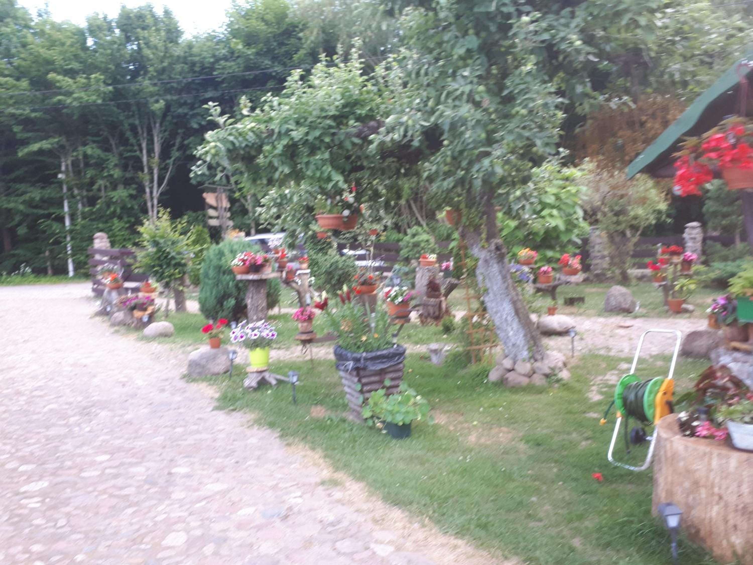 Photo 46