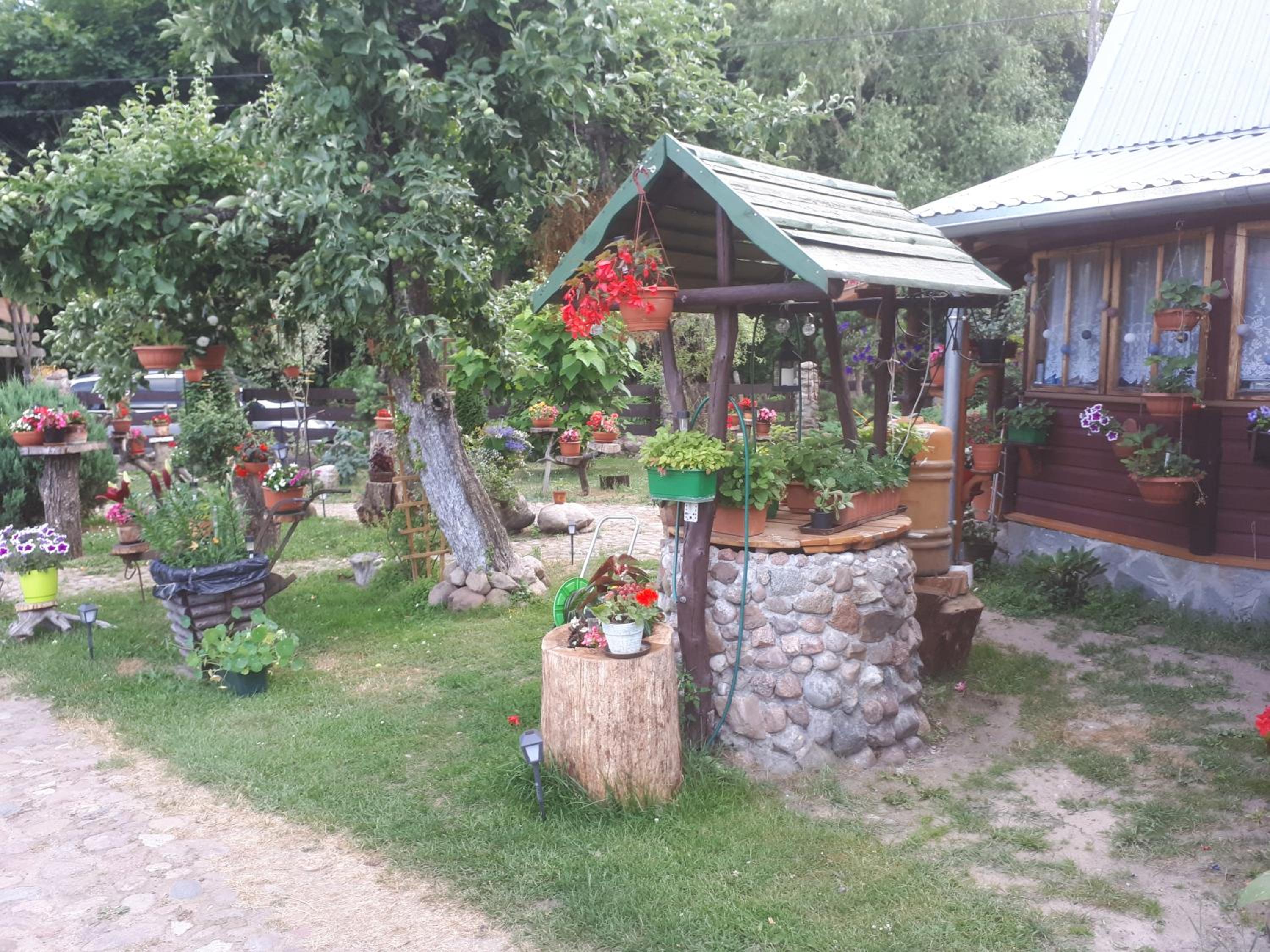 Photo 44