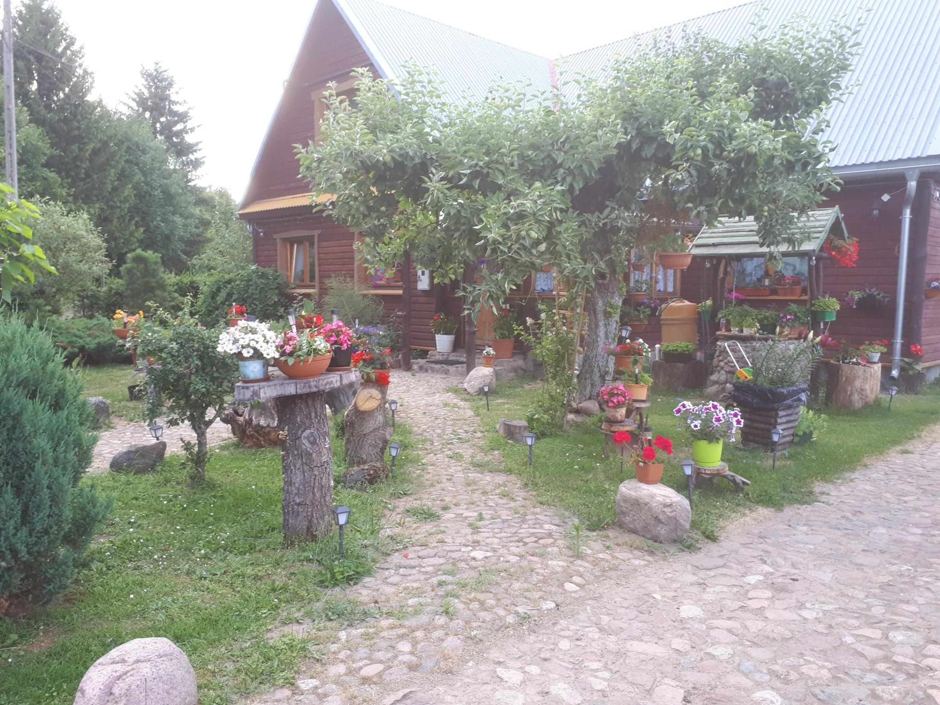 Photo 43
