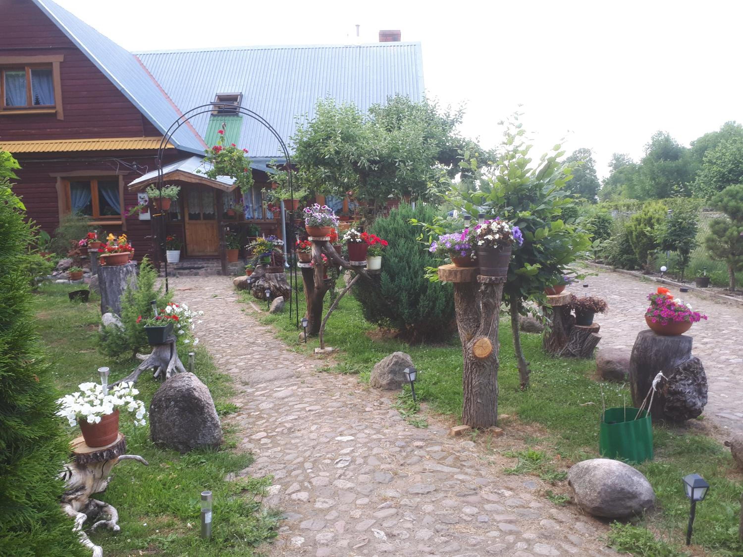 Photo 42