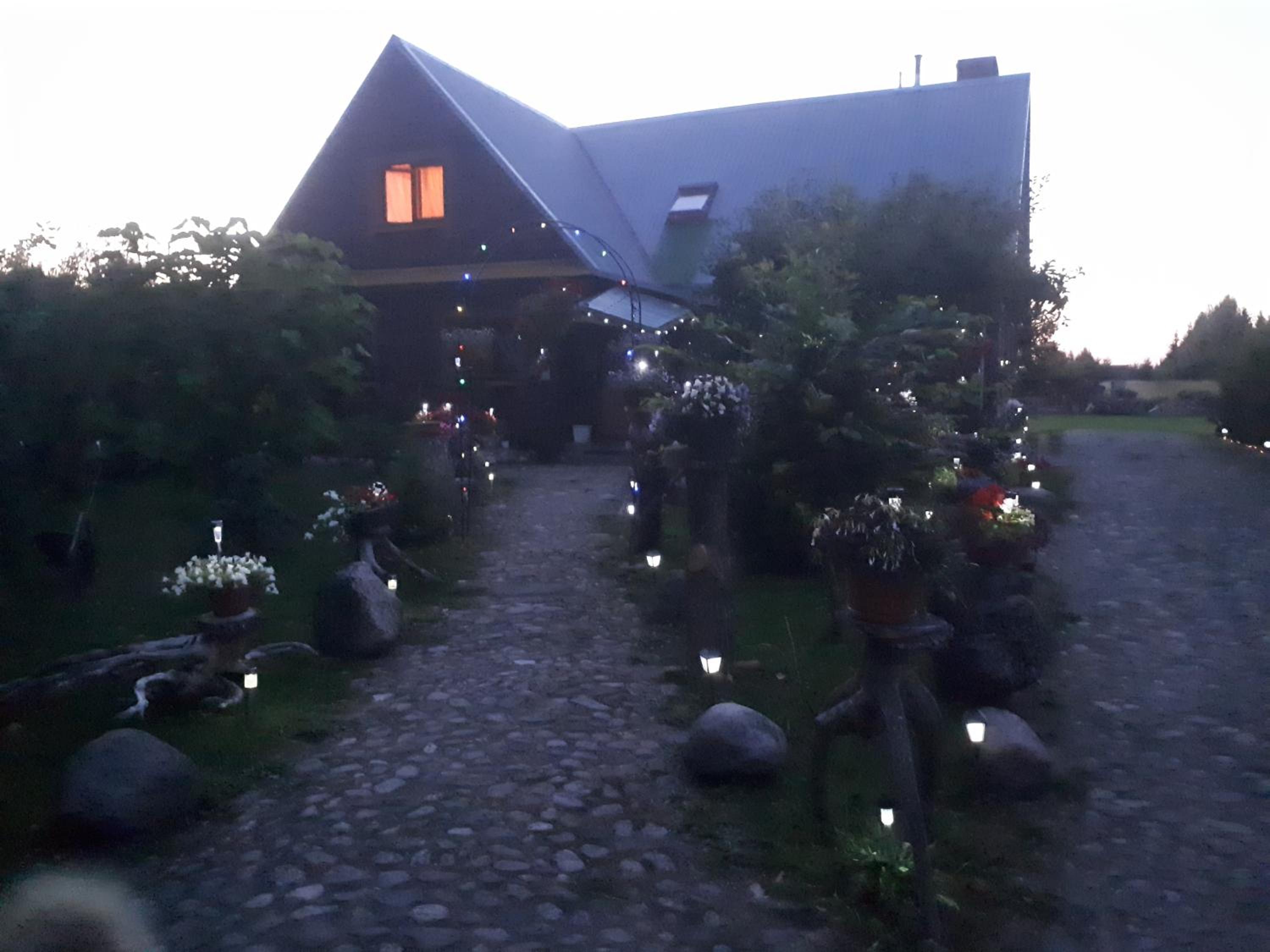 Photo 41