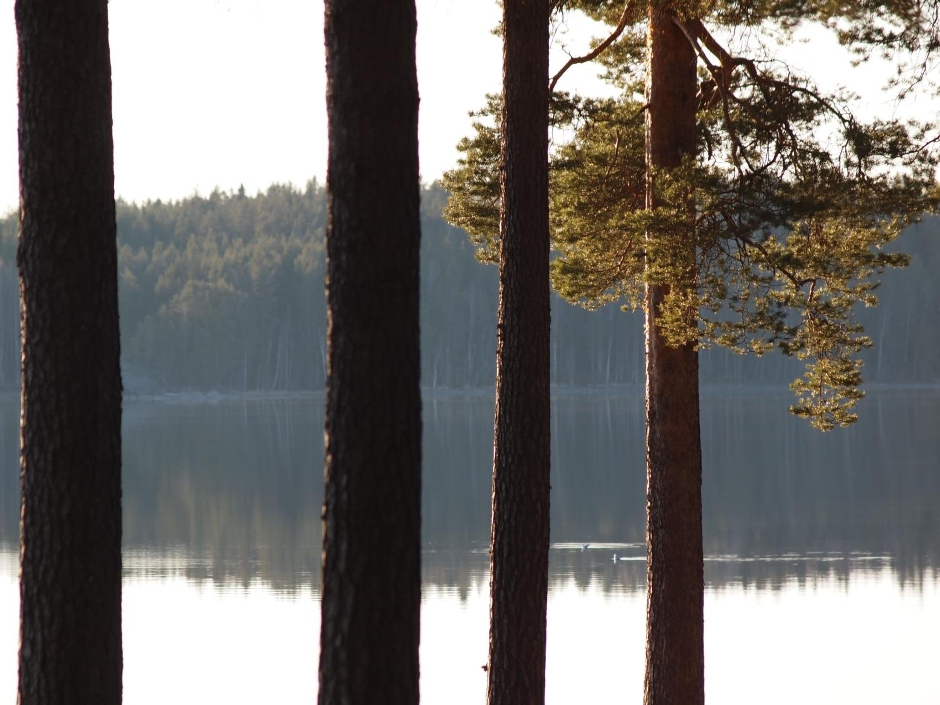 Koskenselän Lomakylä