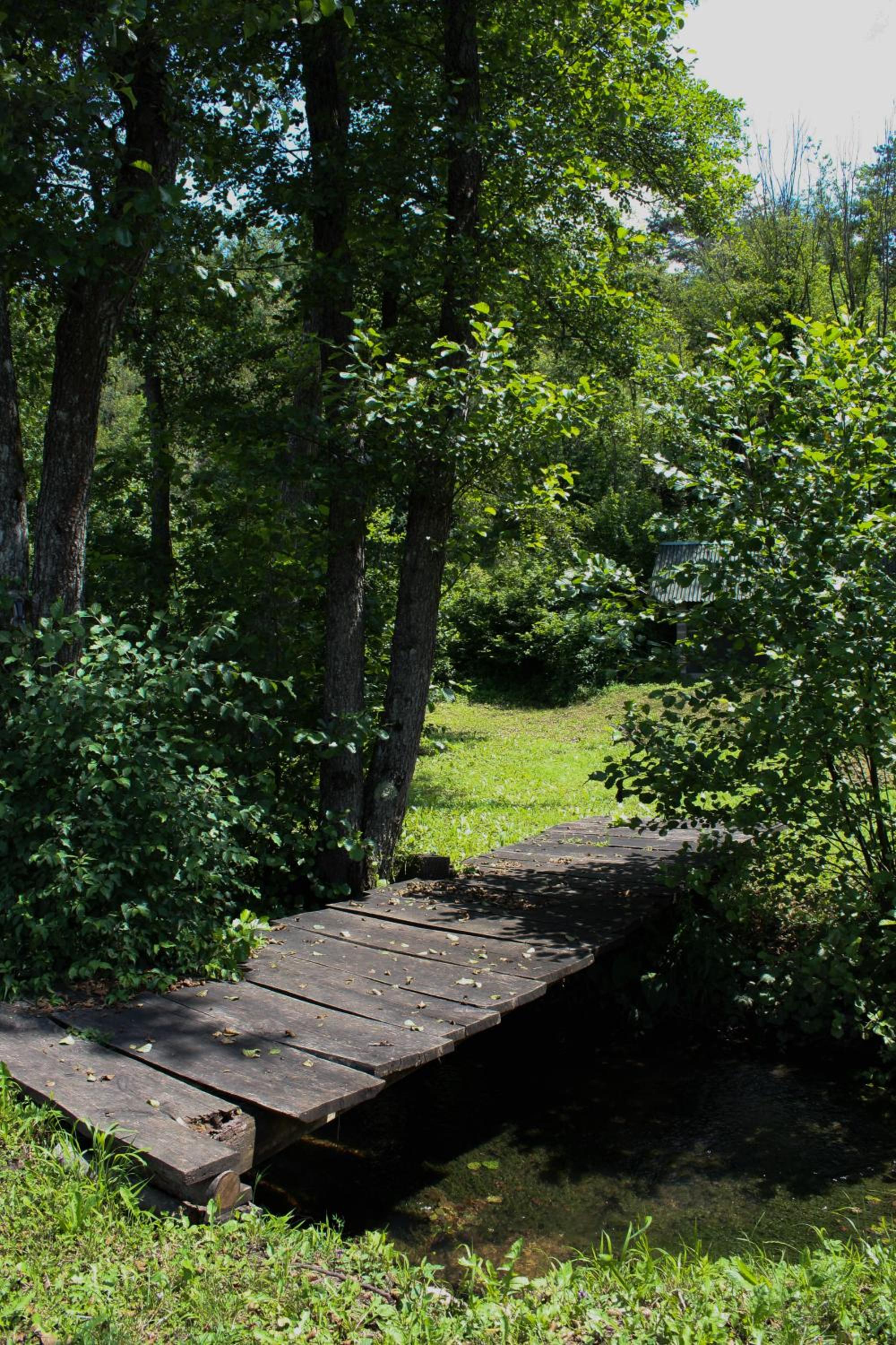 Photo 22