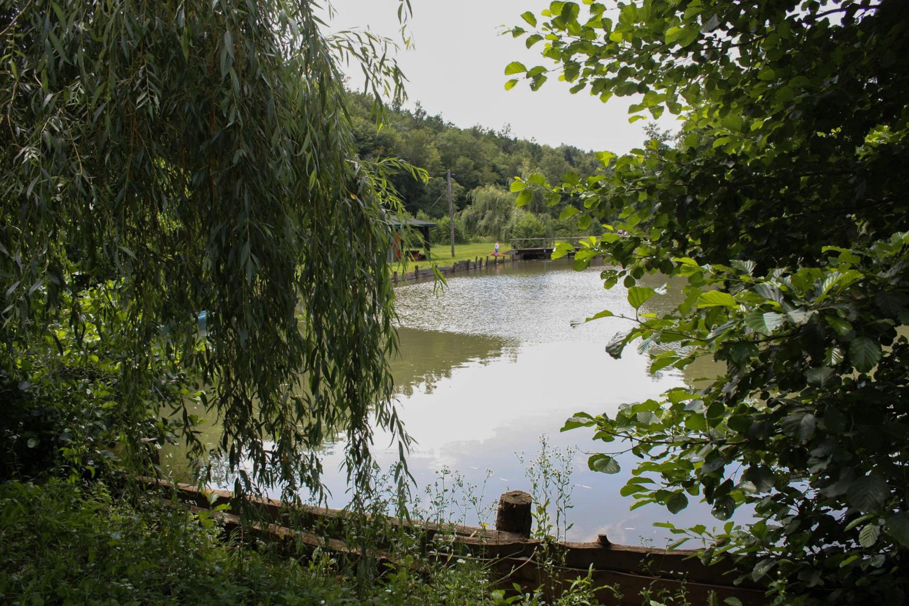 Photo 24