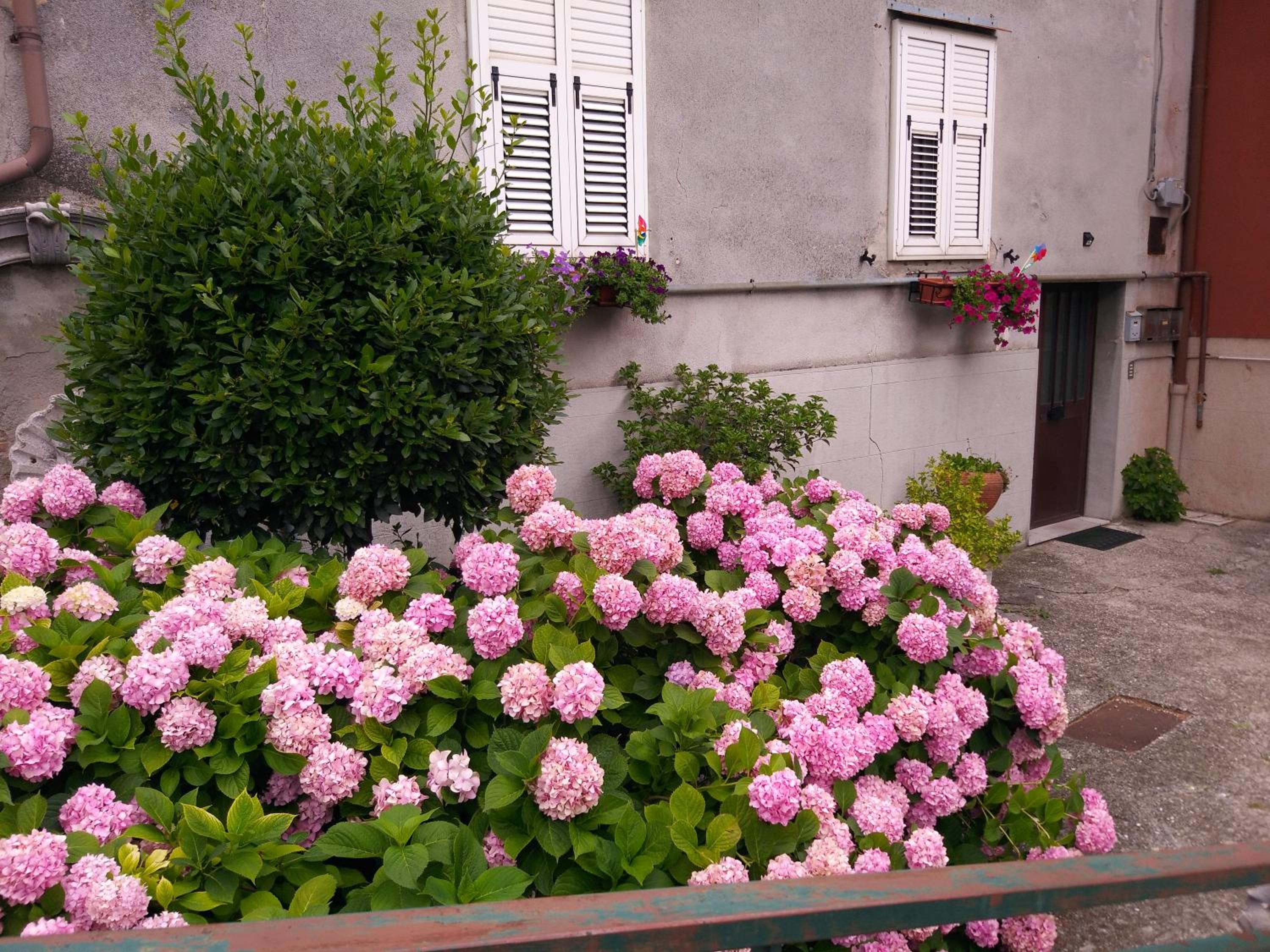 Photo 30
