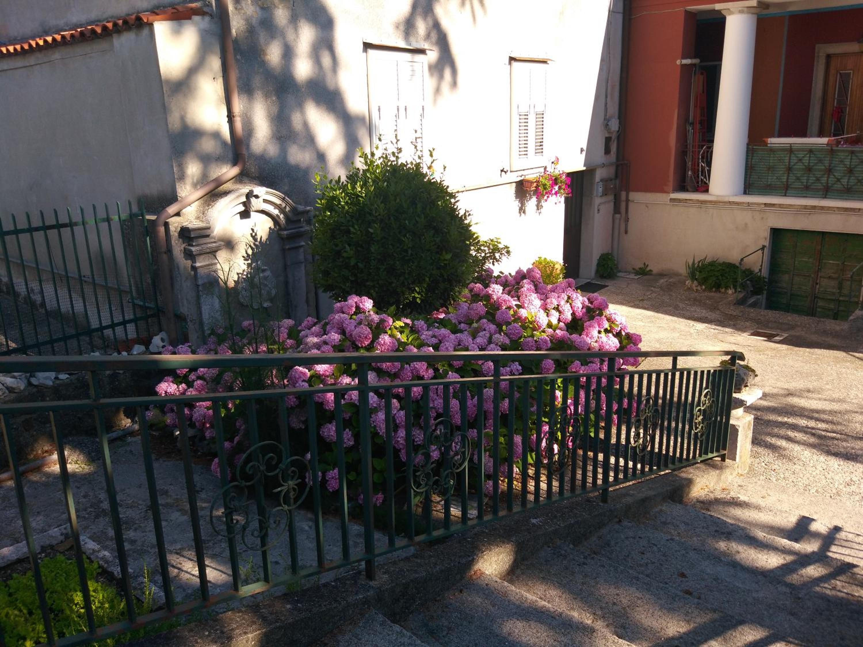 Photo 29