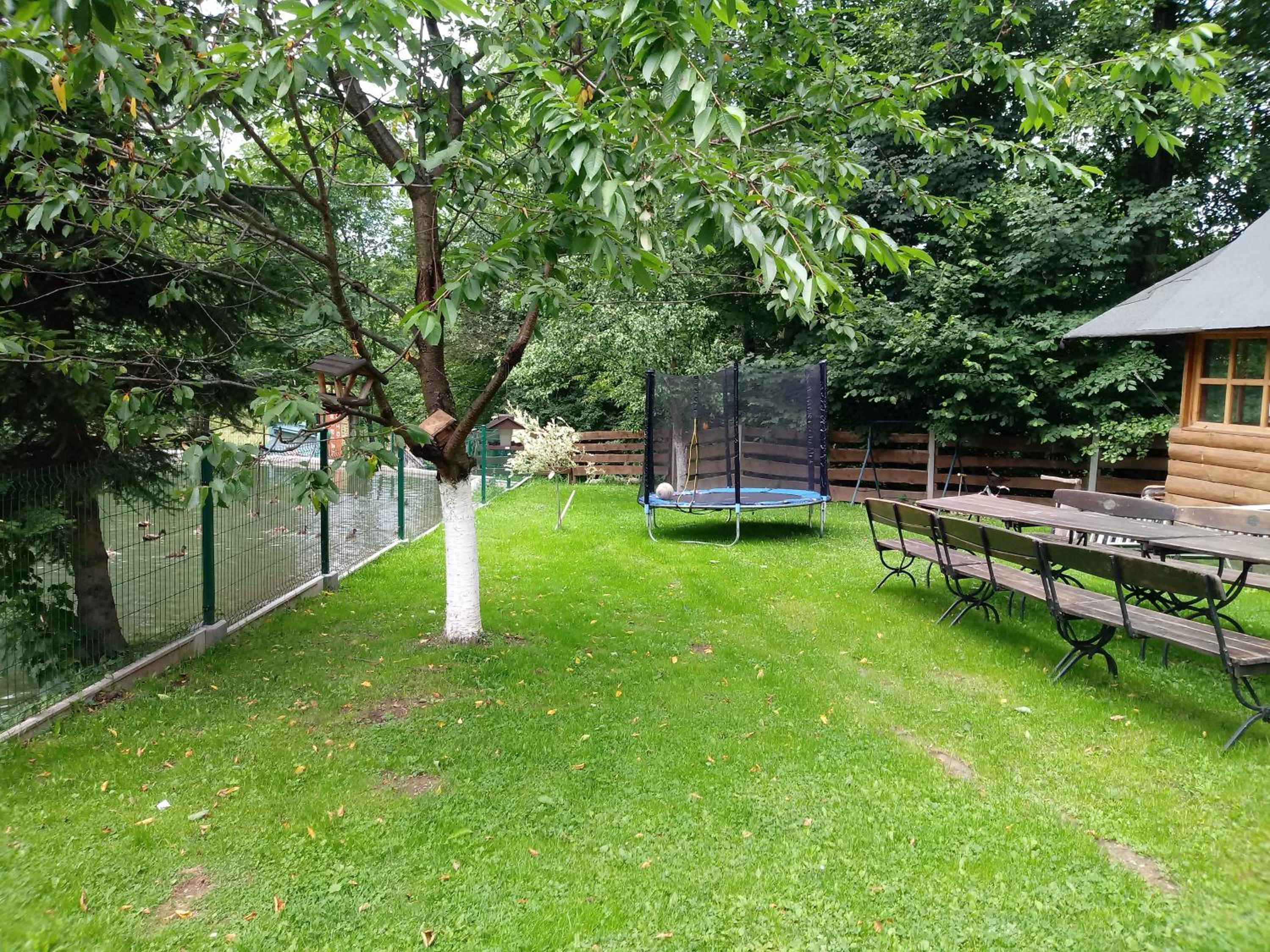 Photo 17