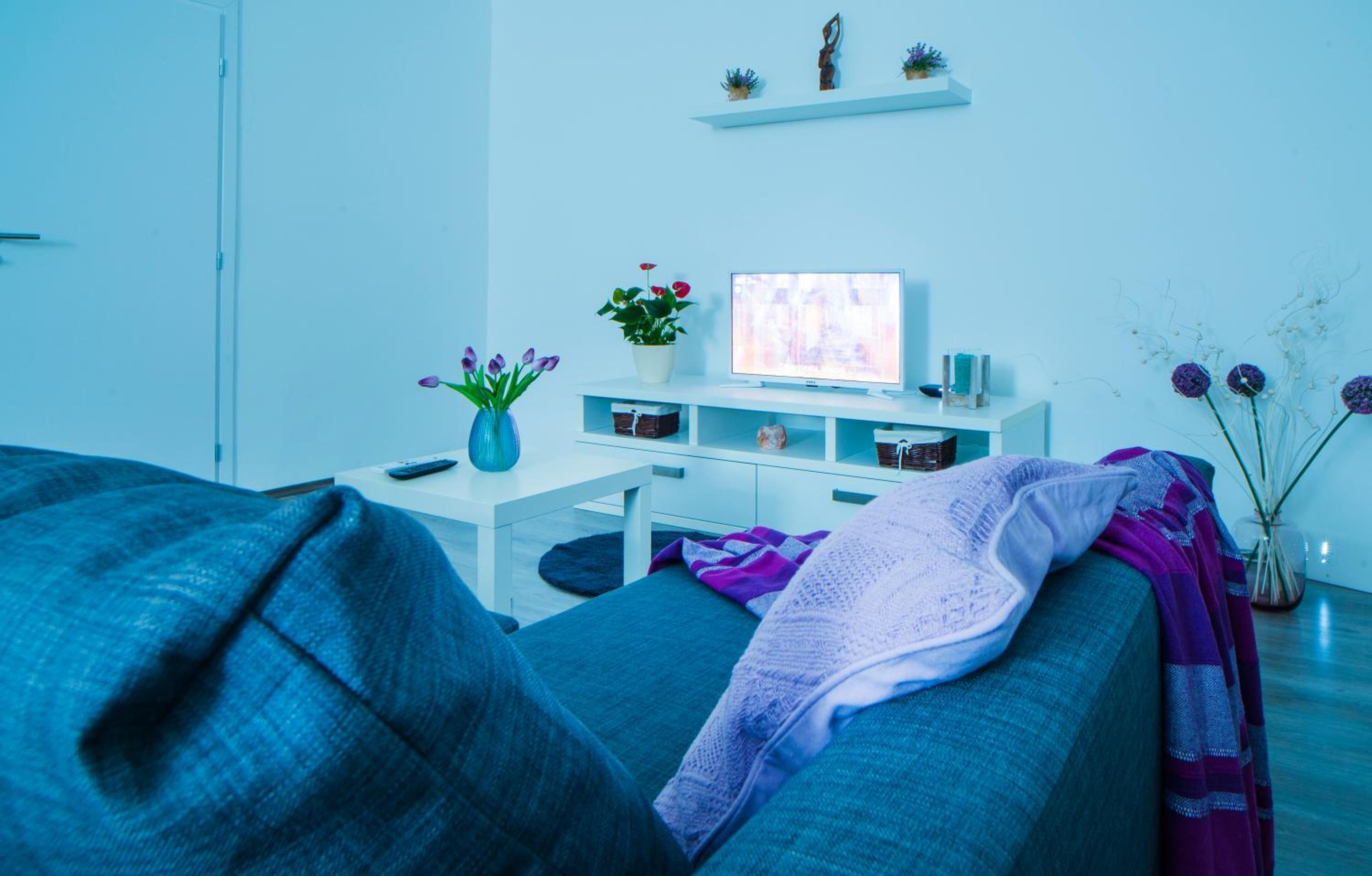 Apartman Višnja view 5