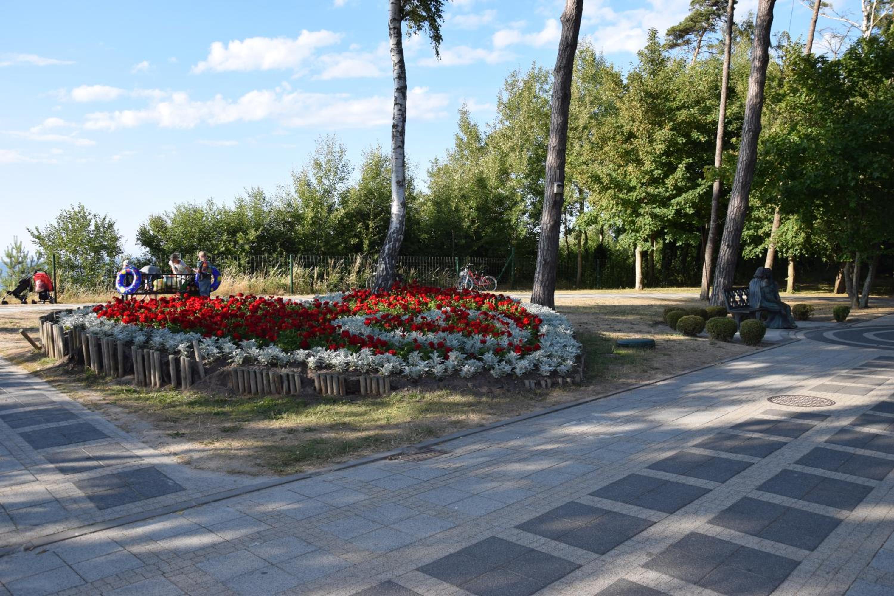 Photo 45