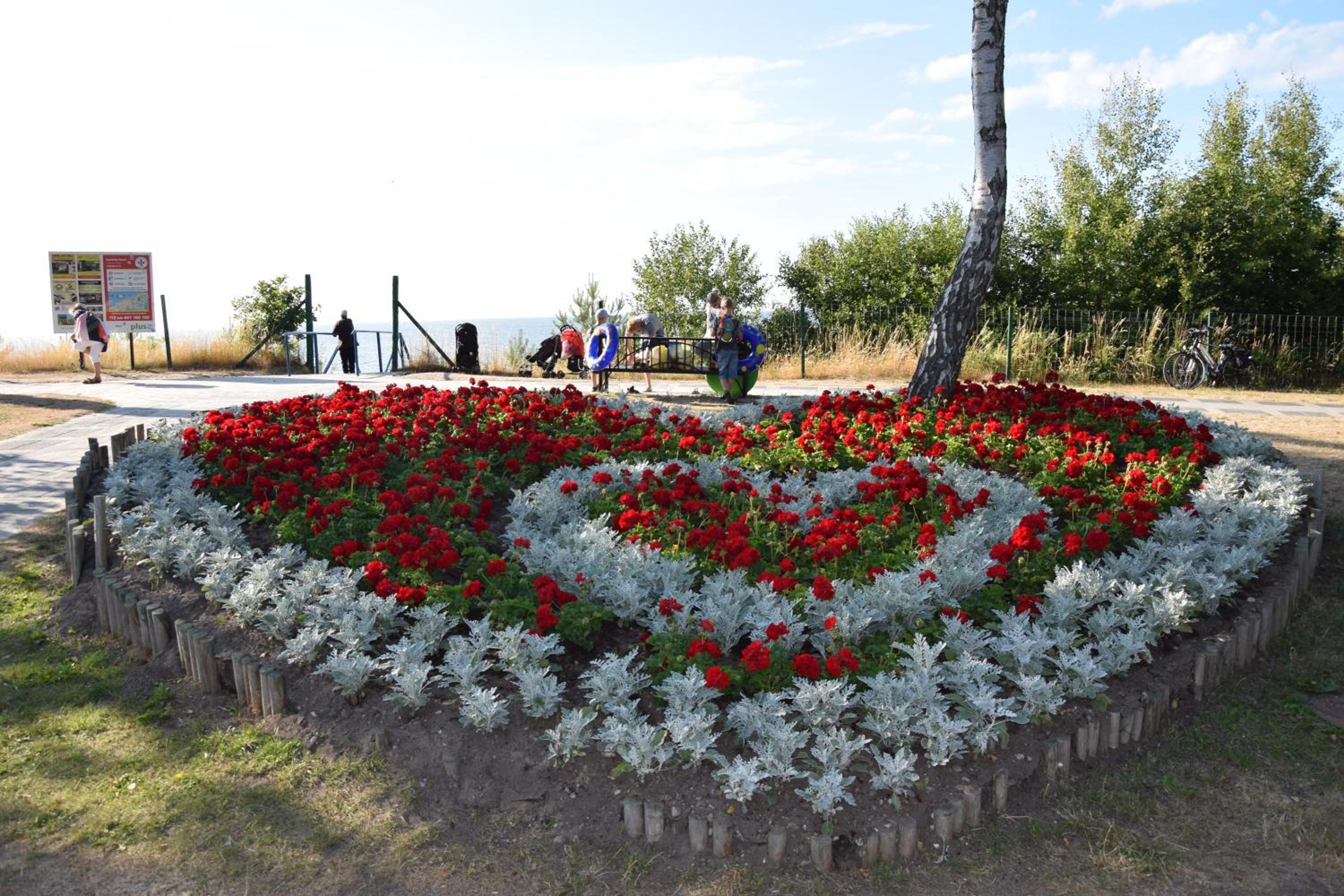 Photo 44