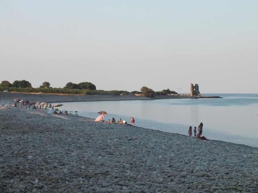 Photo 45