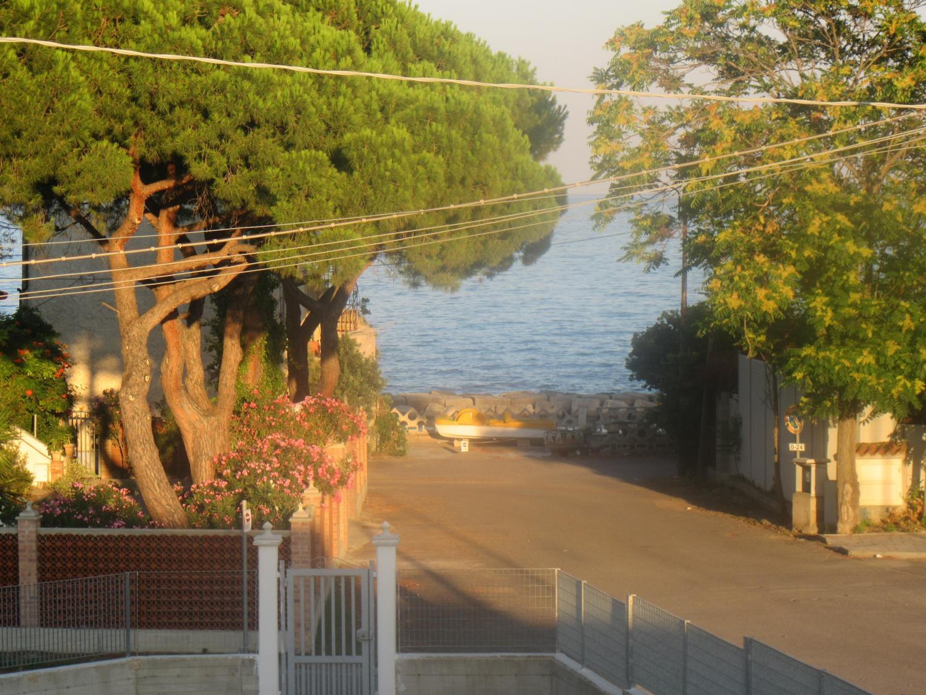 Photo 43