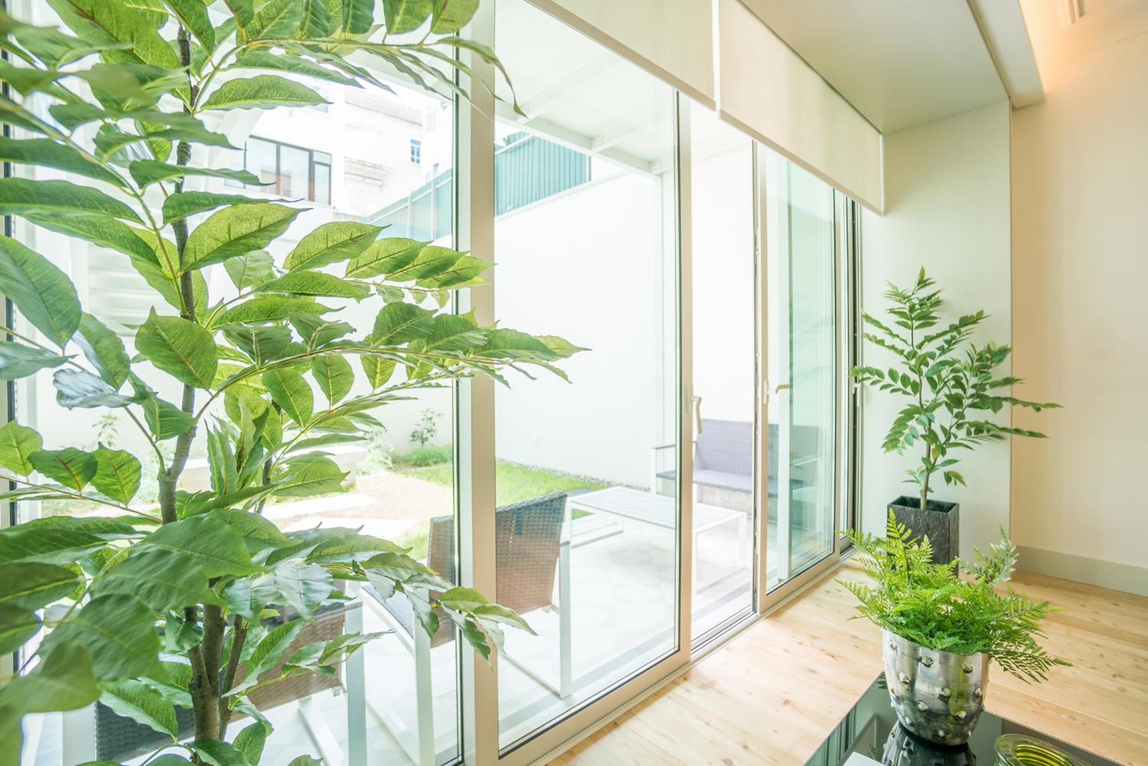 Courtyard & Elegance Apartment view 4