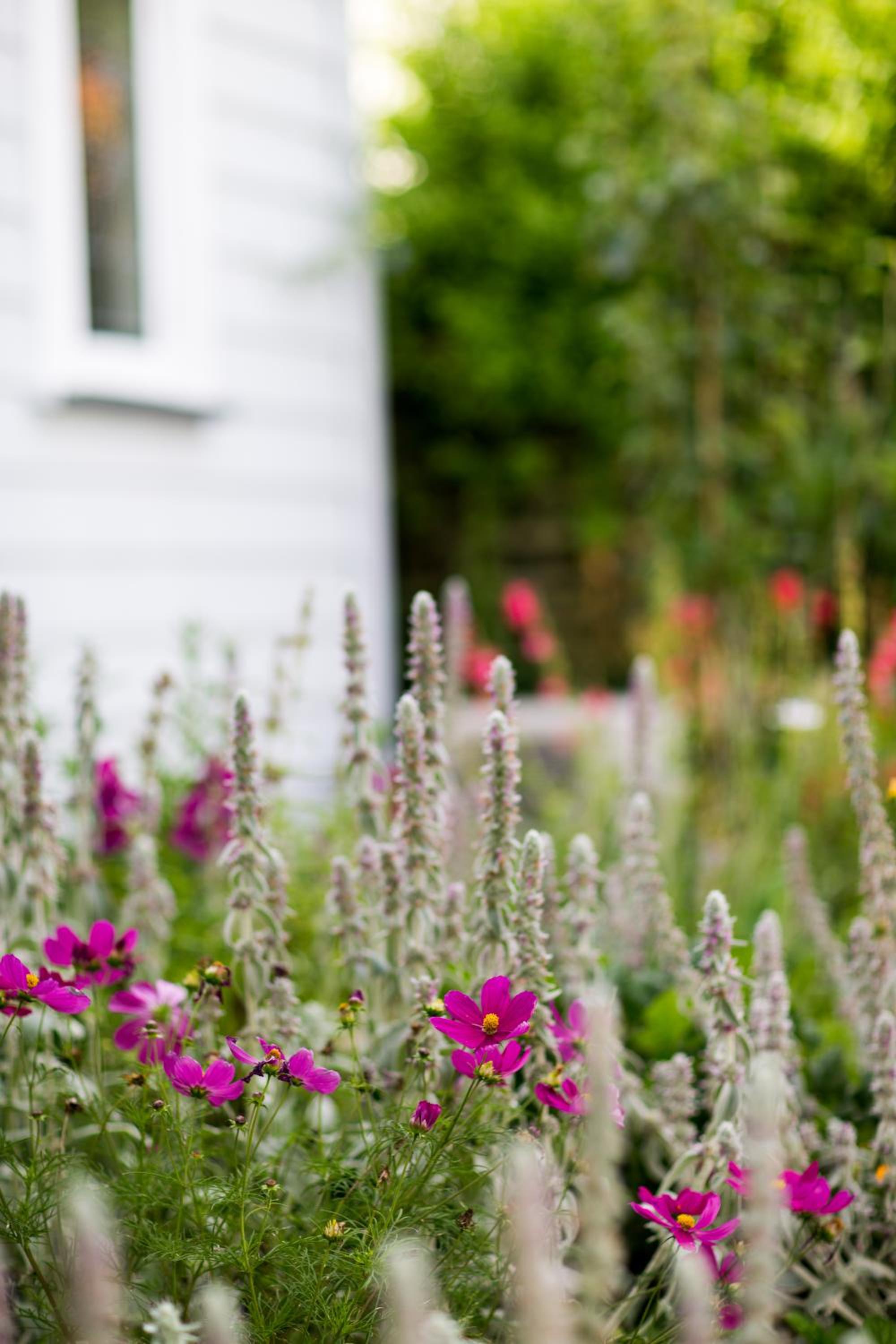 Coghill Cottage view 3