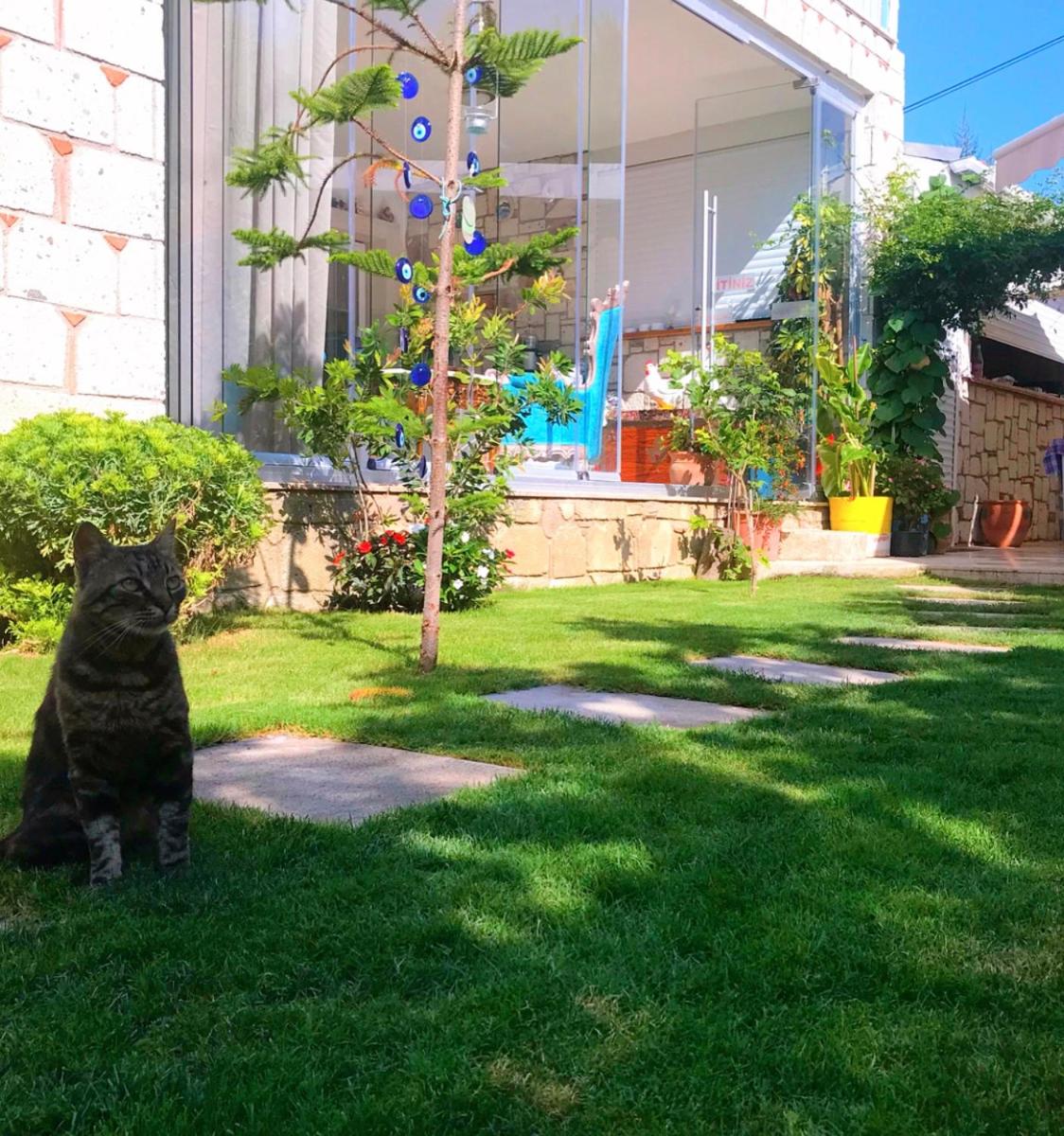 Degirmenli Konak Hotel