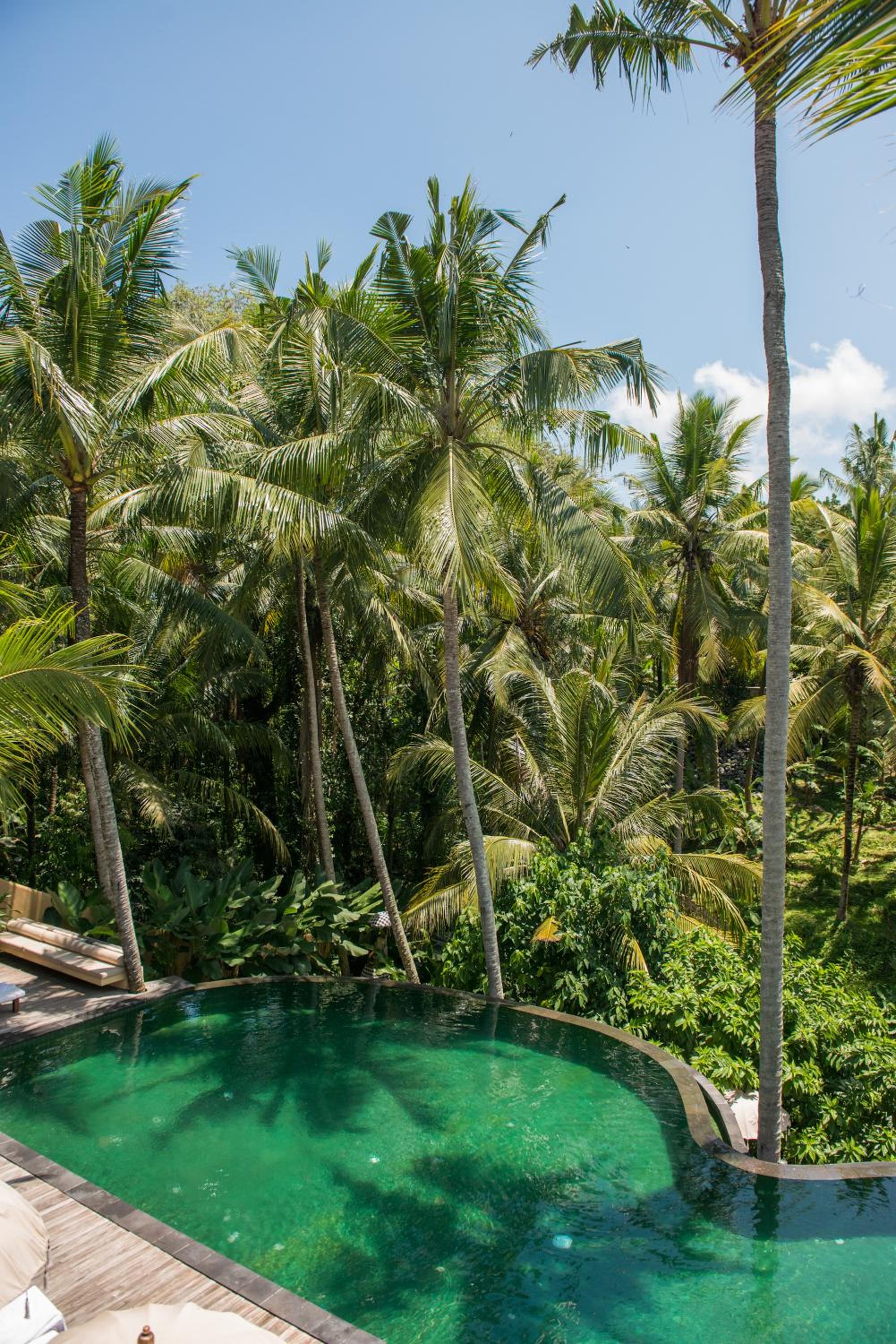 Komaneka at Rasa Sayang Ubud