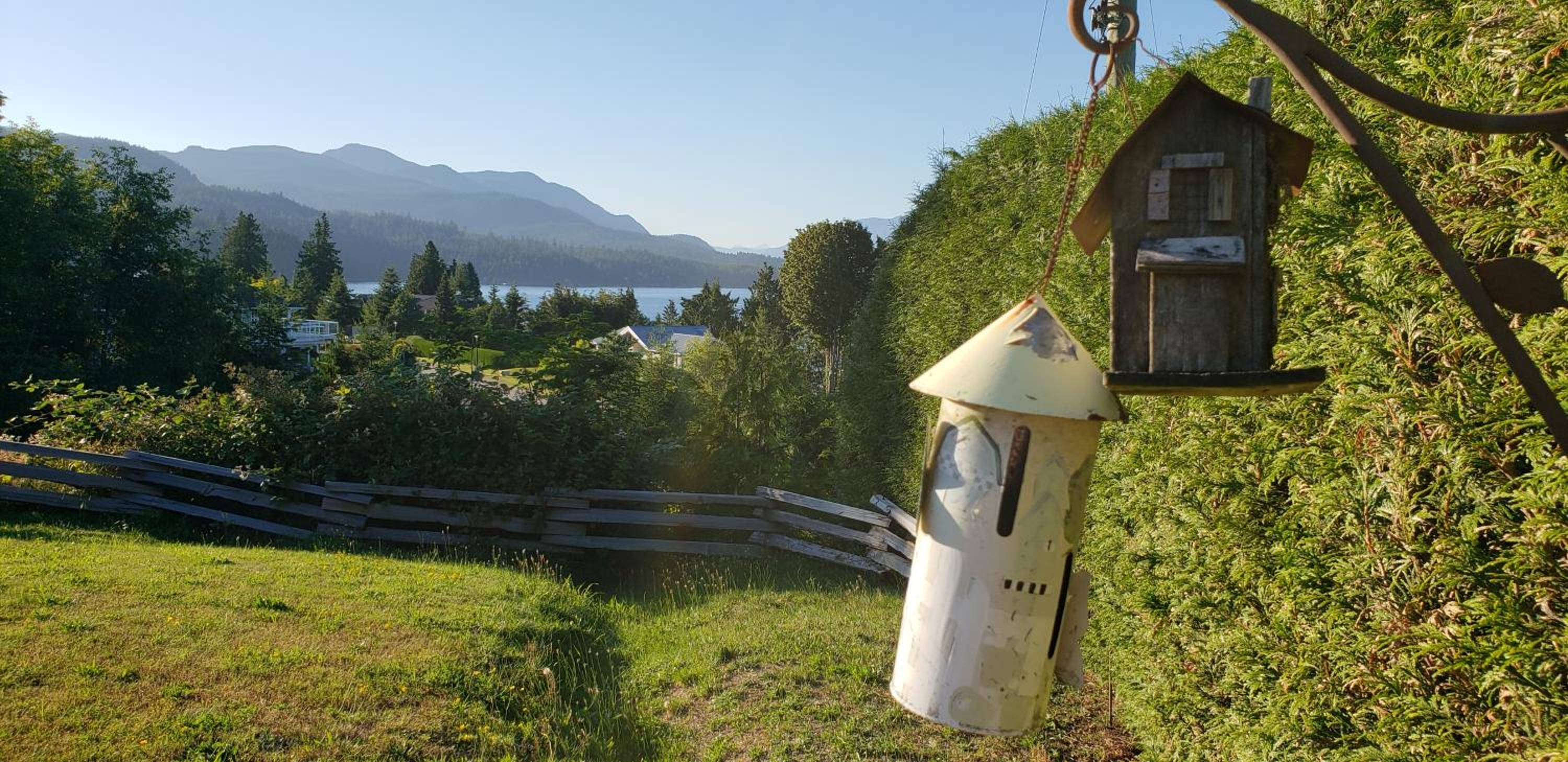 Finn's Cabin