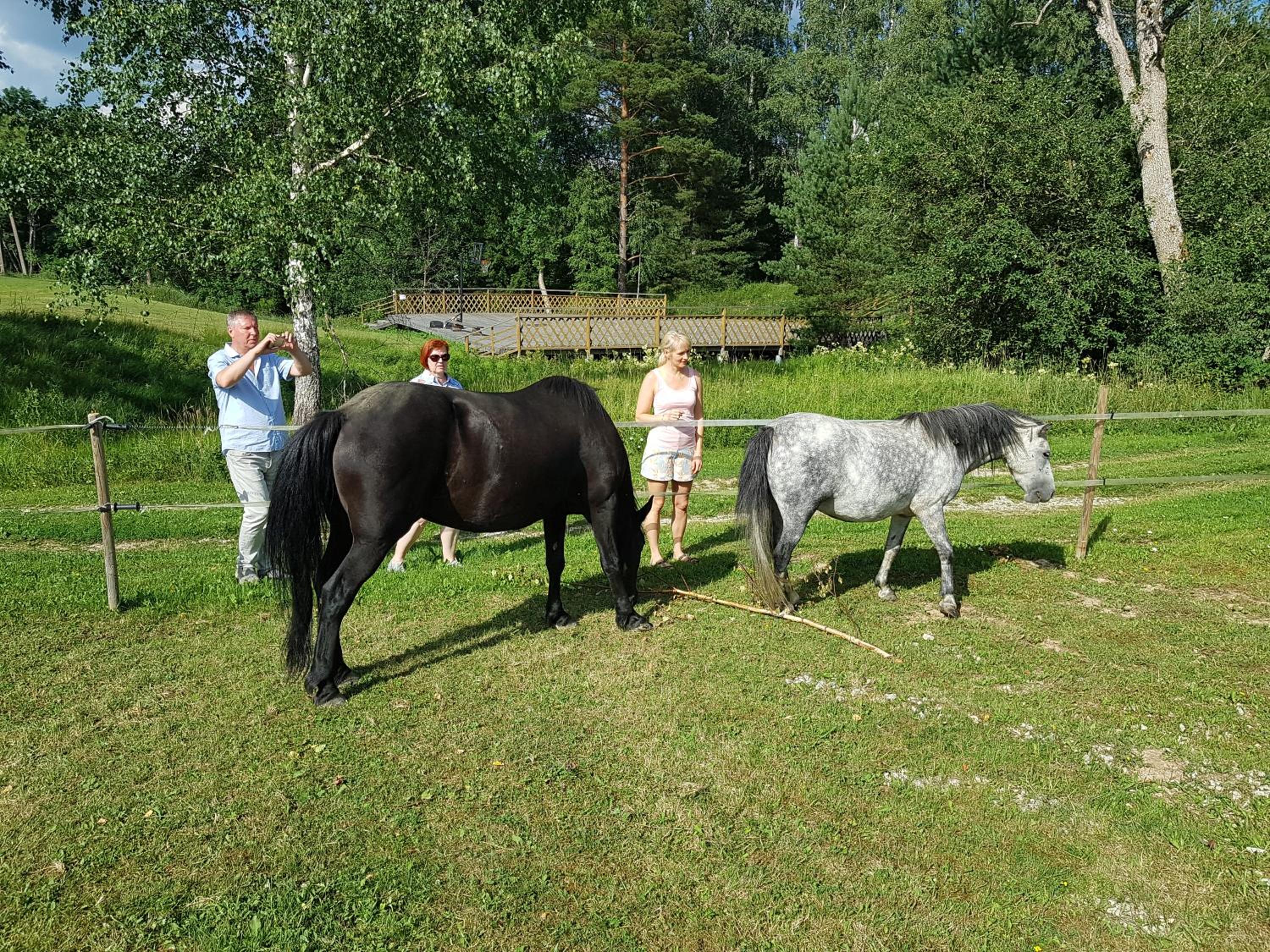 Soomaa Canoe Trips Centre