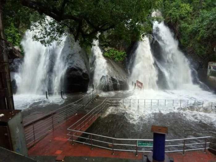 Orchard Valley Resort