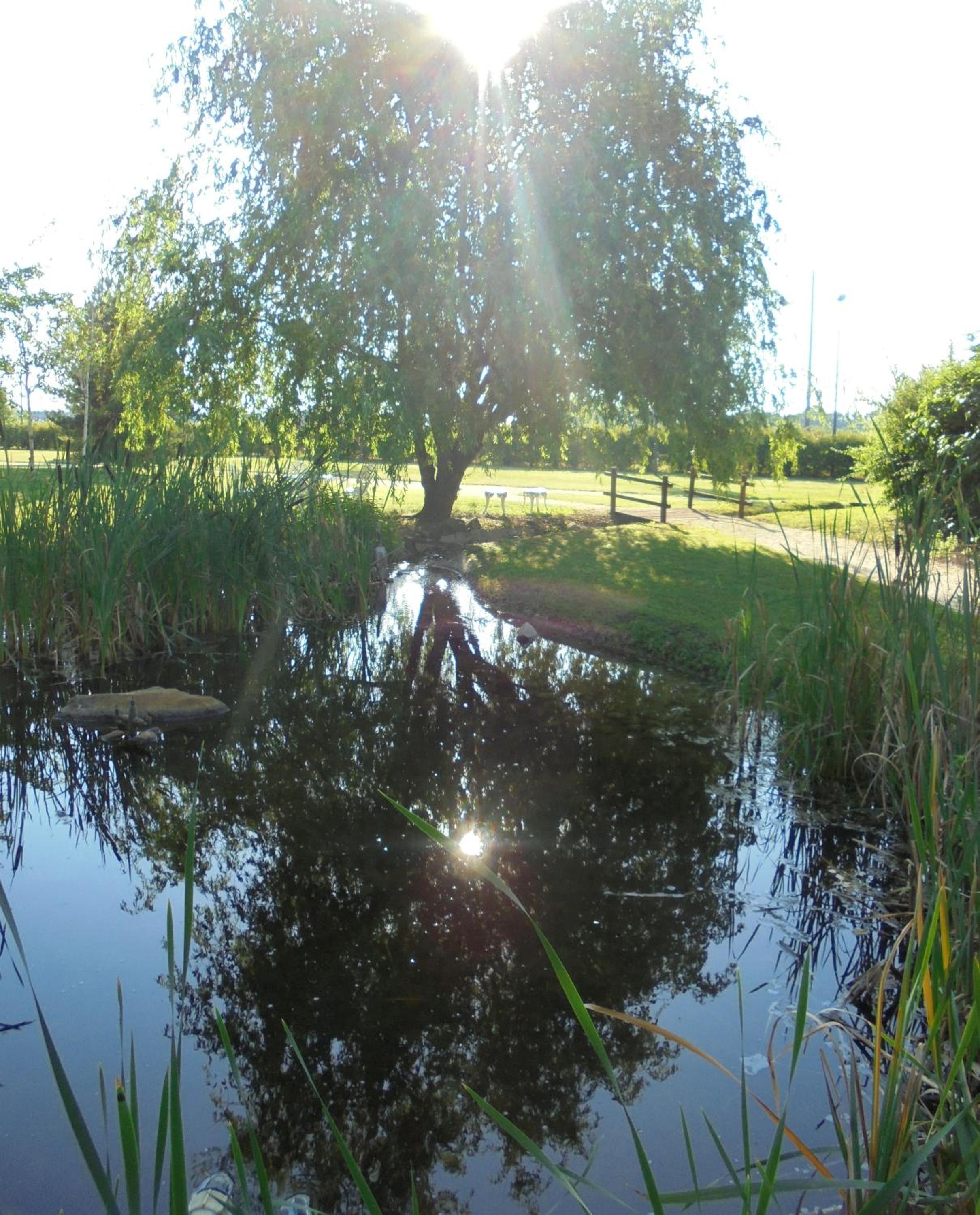 La Casa di Campagna - Property Image 65