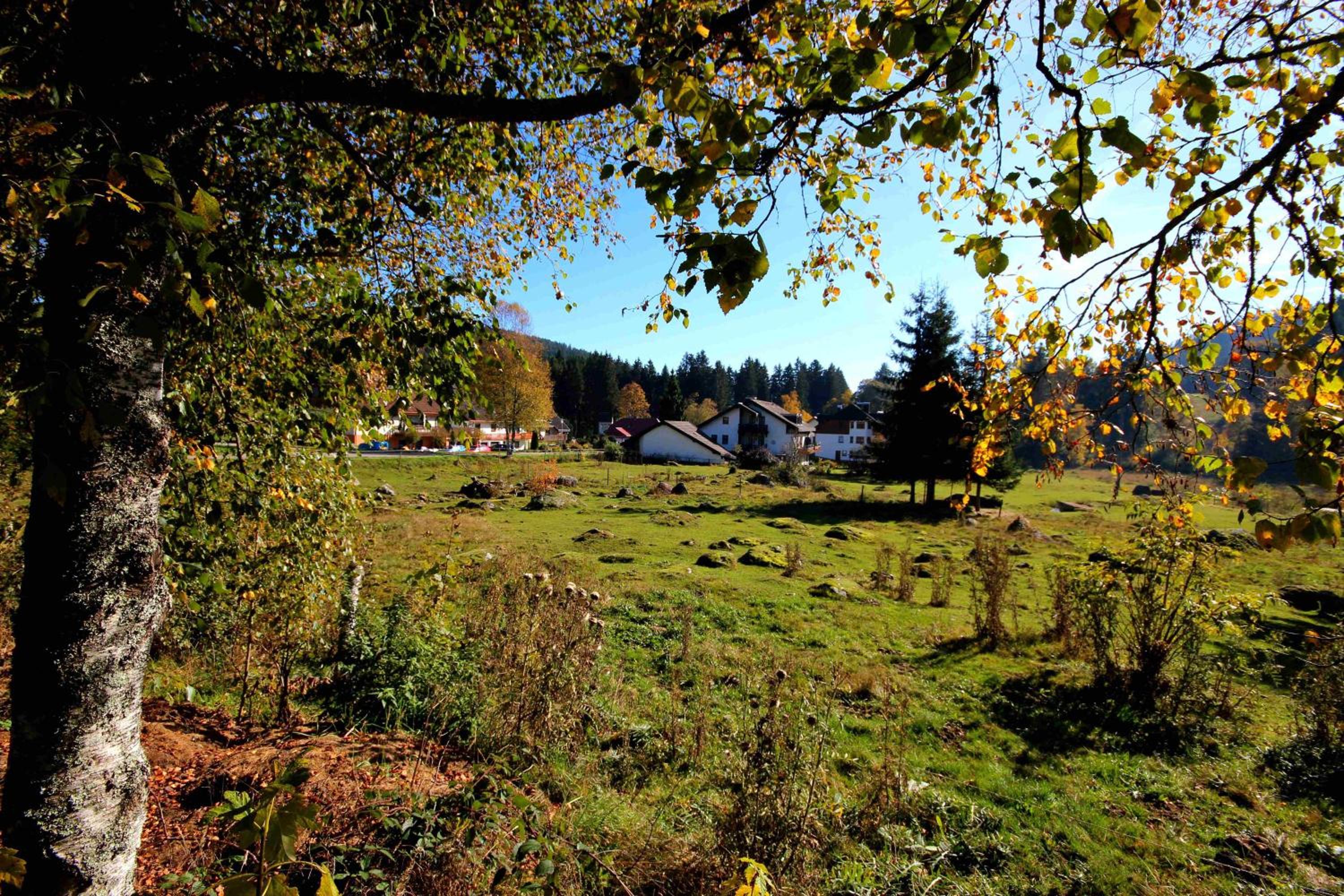Photo 40