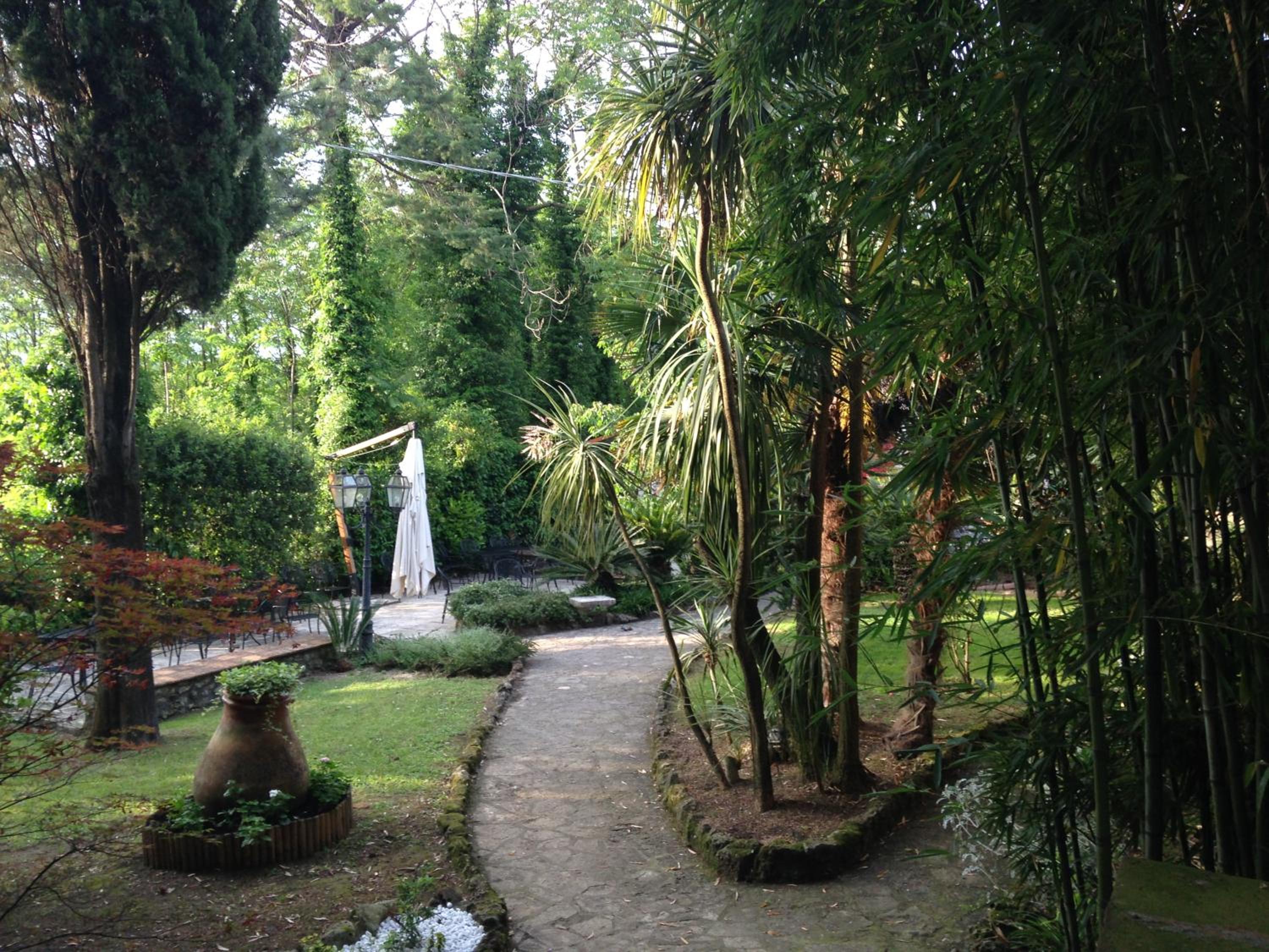 garden