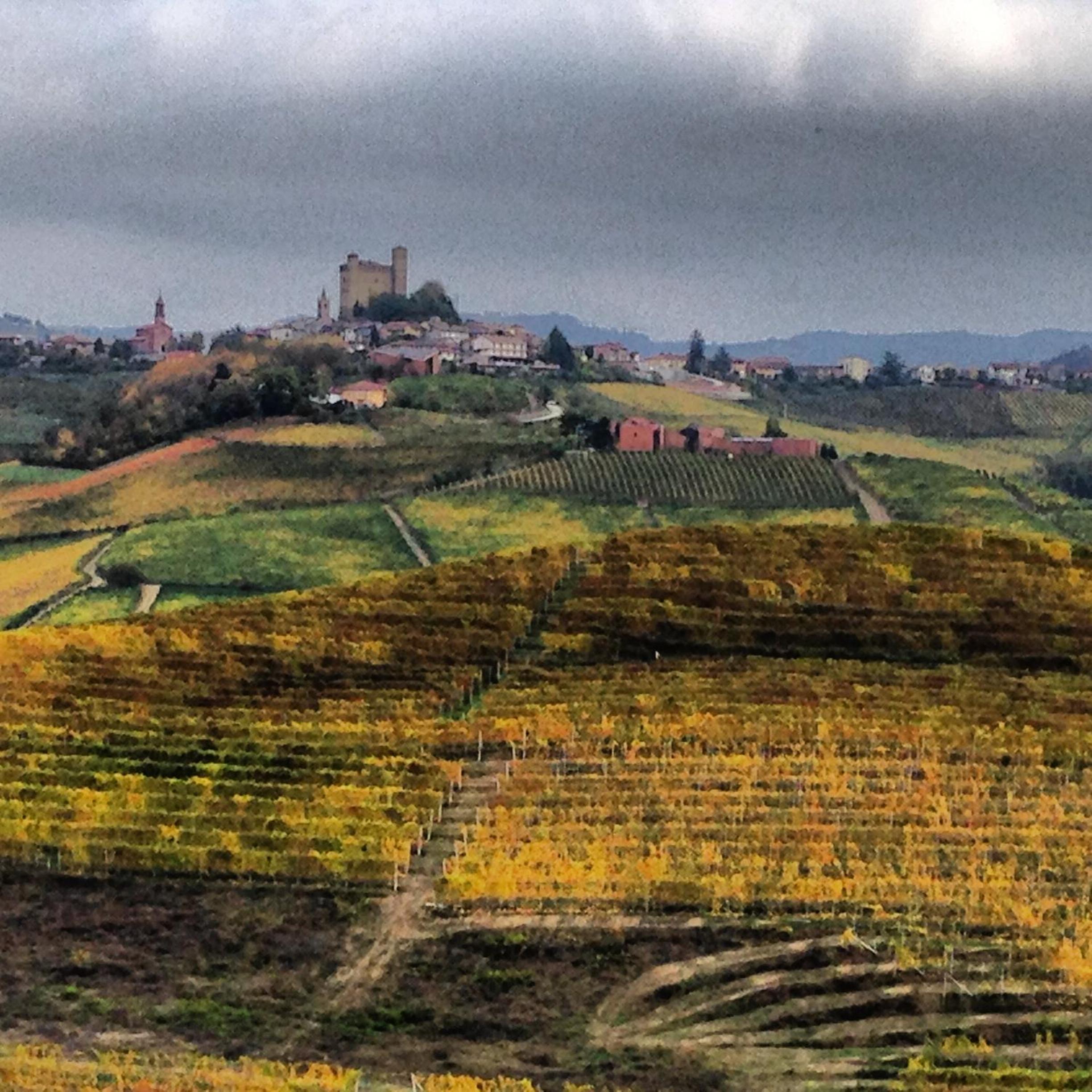 Cascina Maina view 3