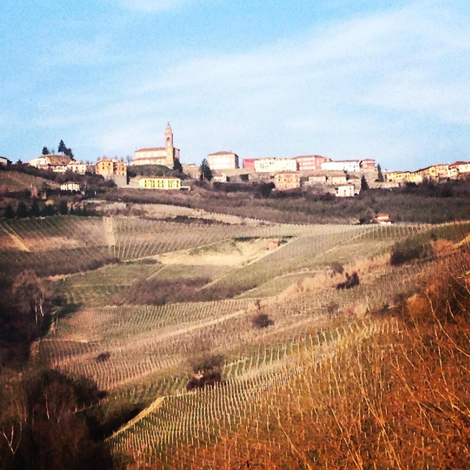 Cascina Maina view 4