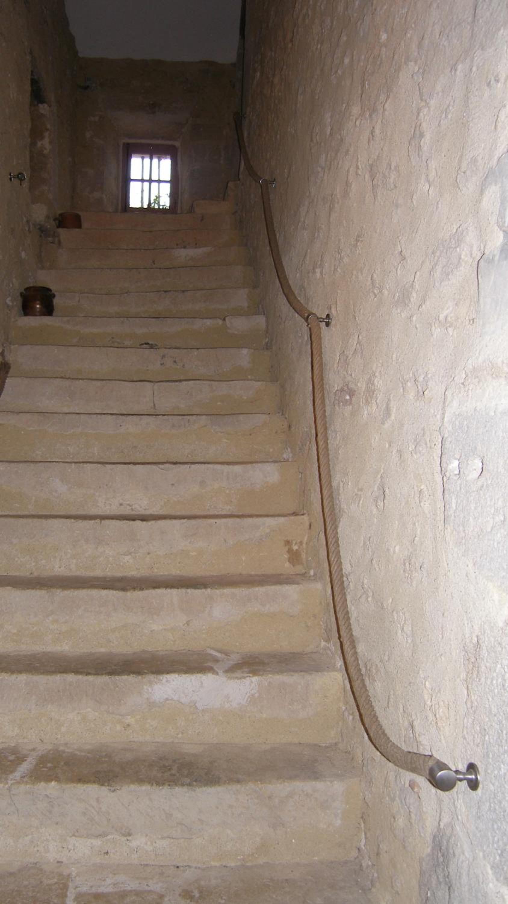 Photo 51