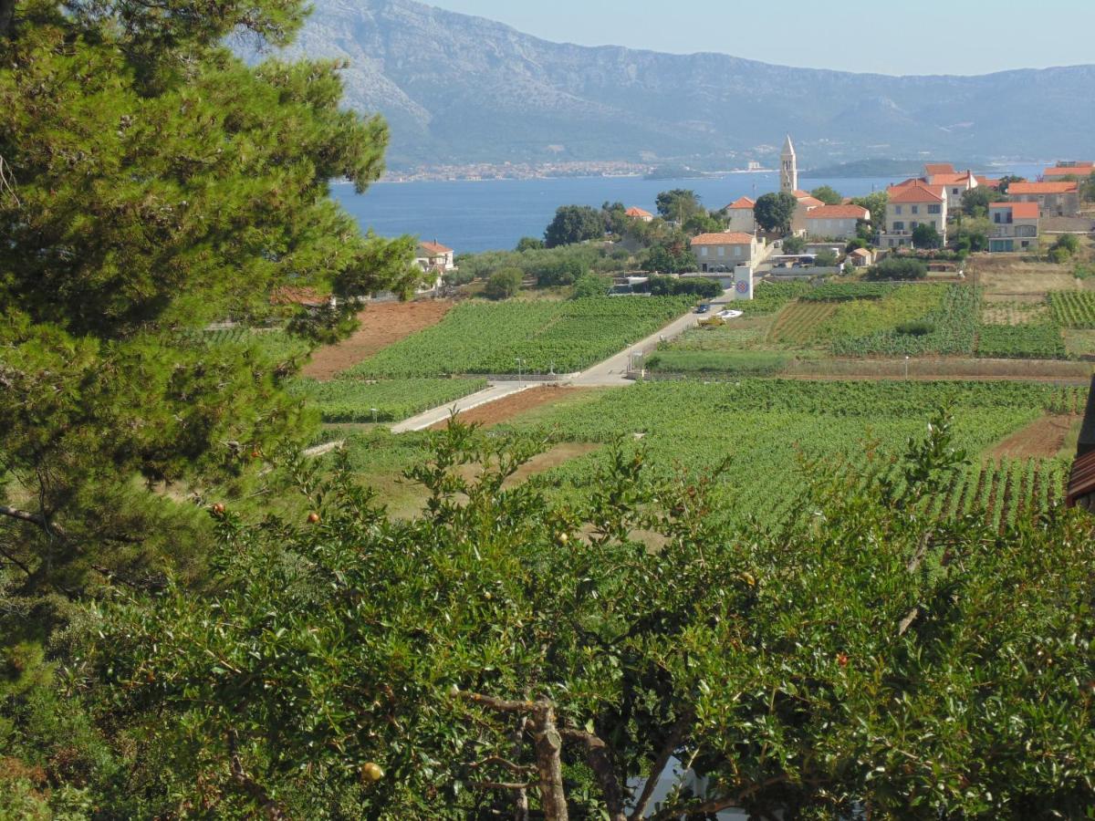 Hotel VILLA Apartments Mate Cebalo - Image 1