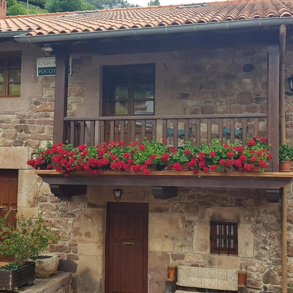 Casa Rural Pocotrigo