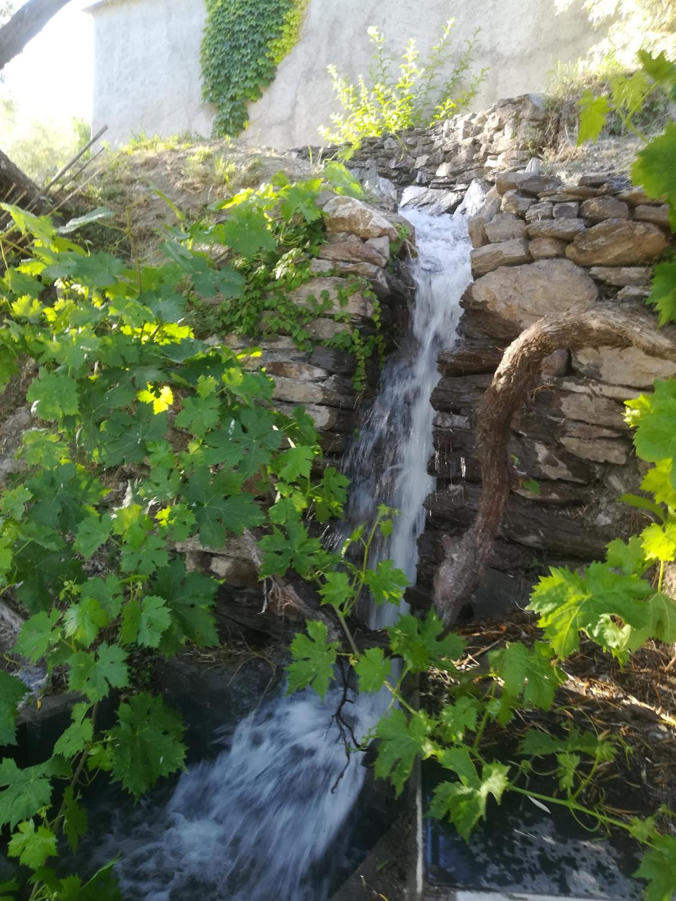 Photo 37