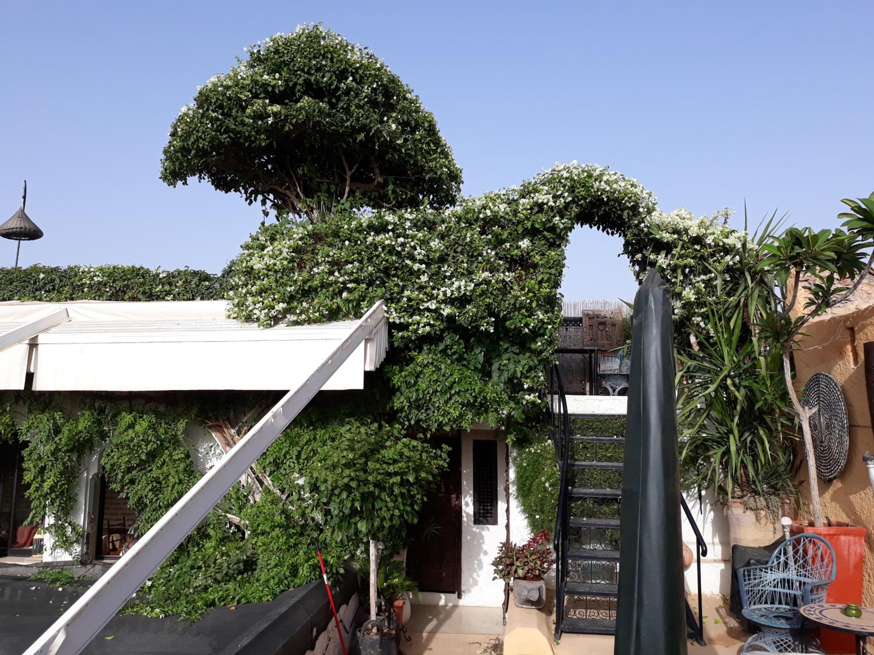 roof