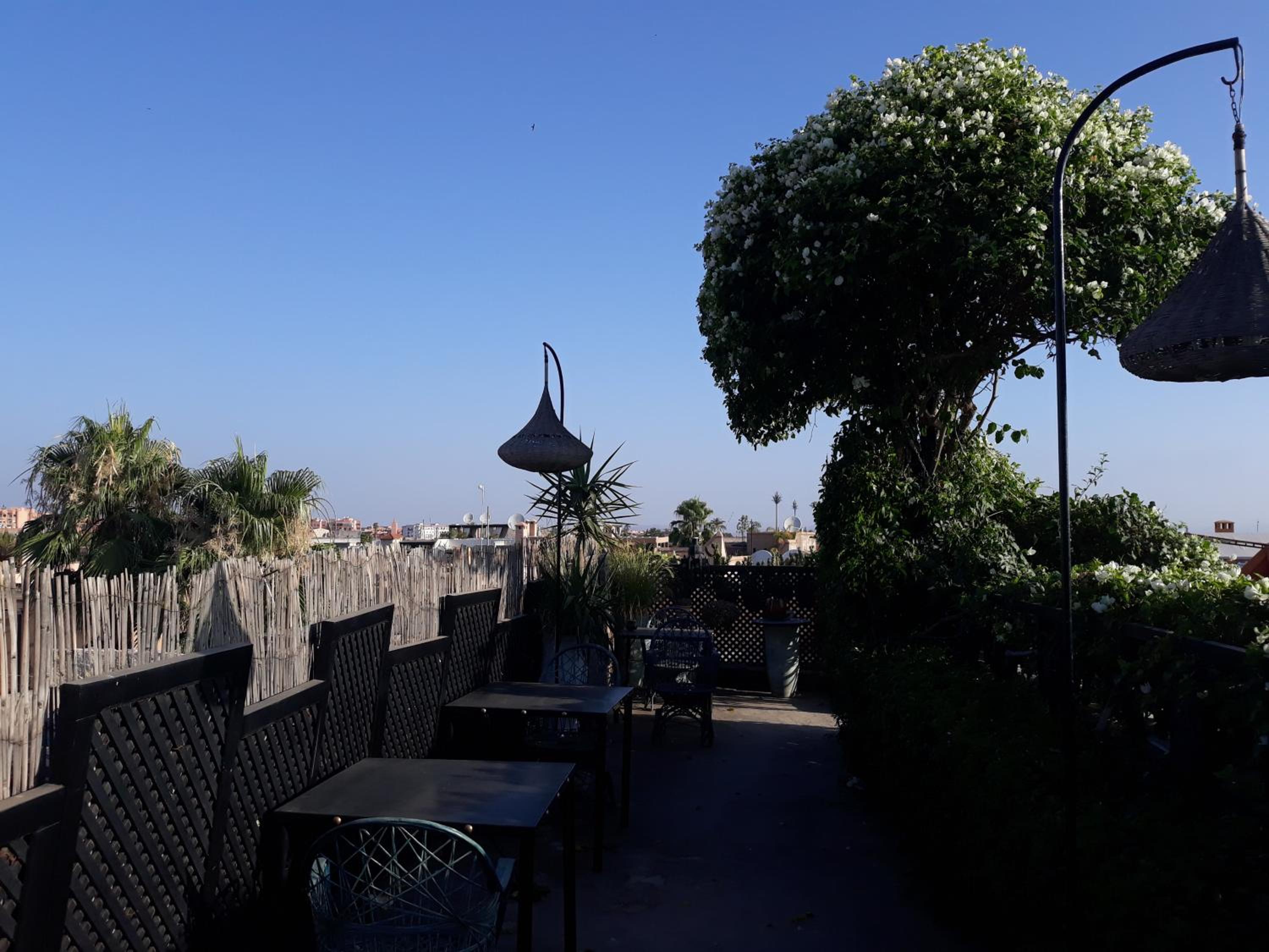 roof