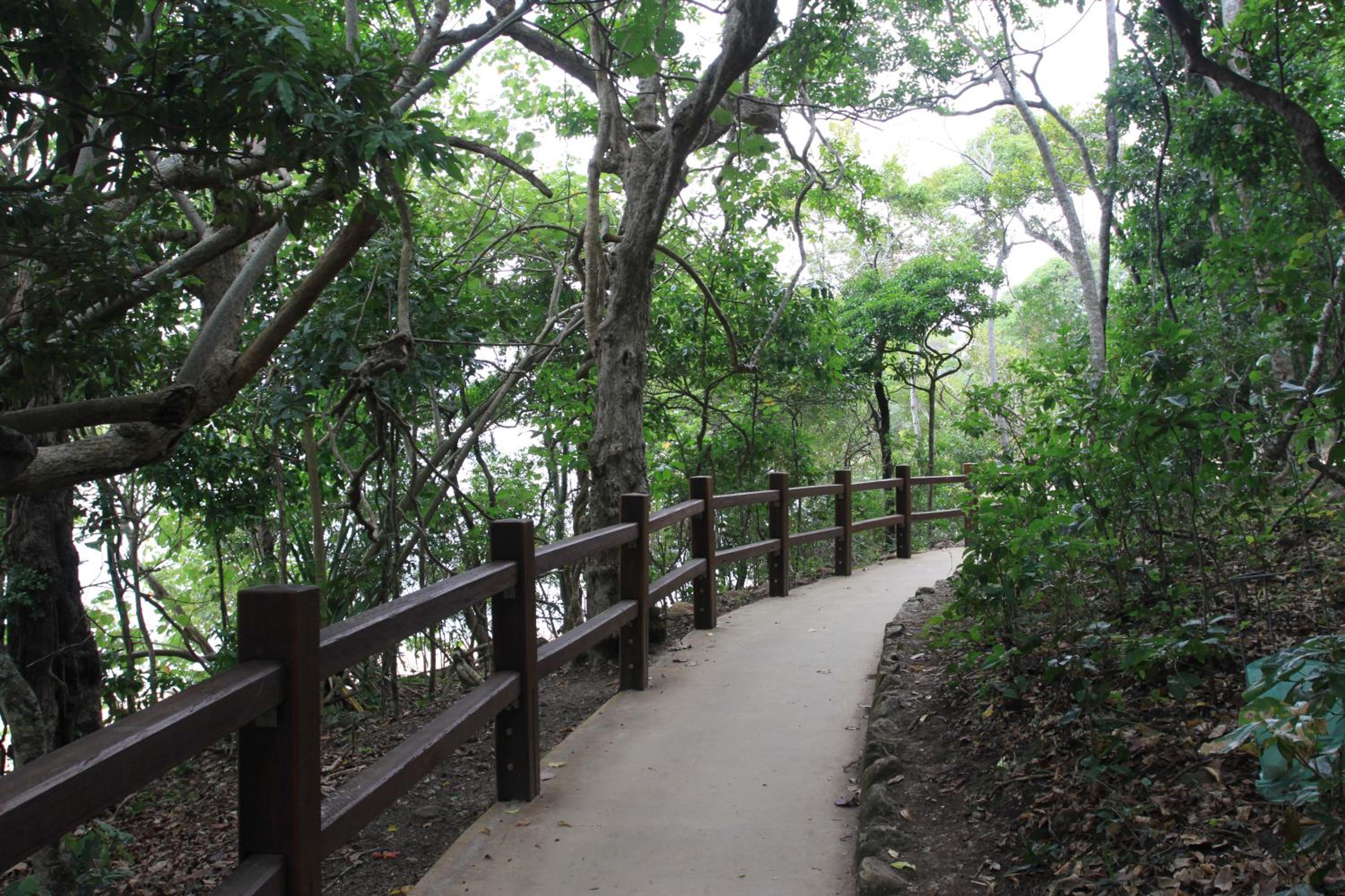 Koala Cove Holiday Apartments