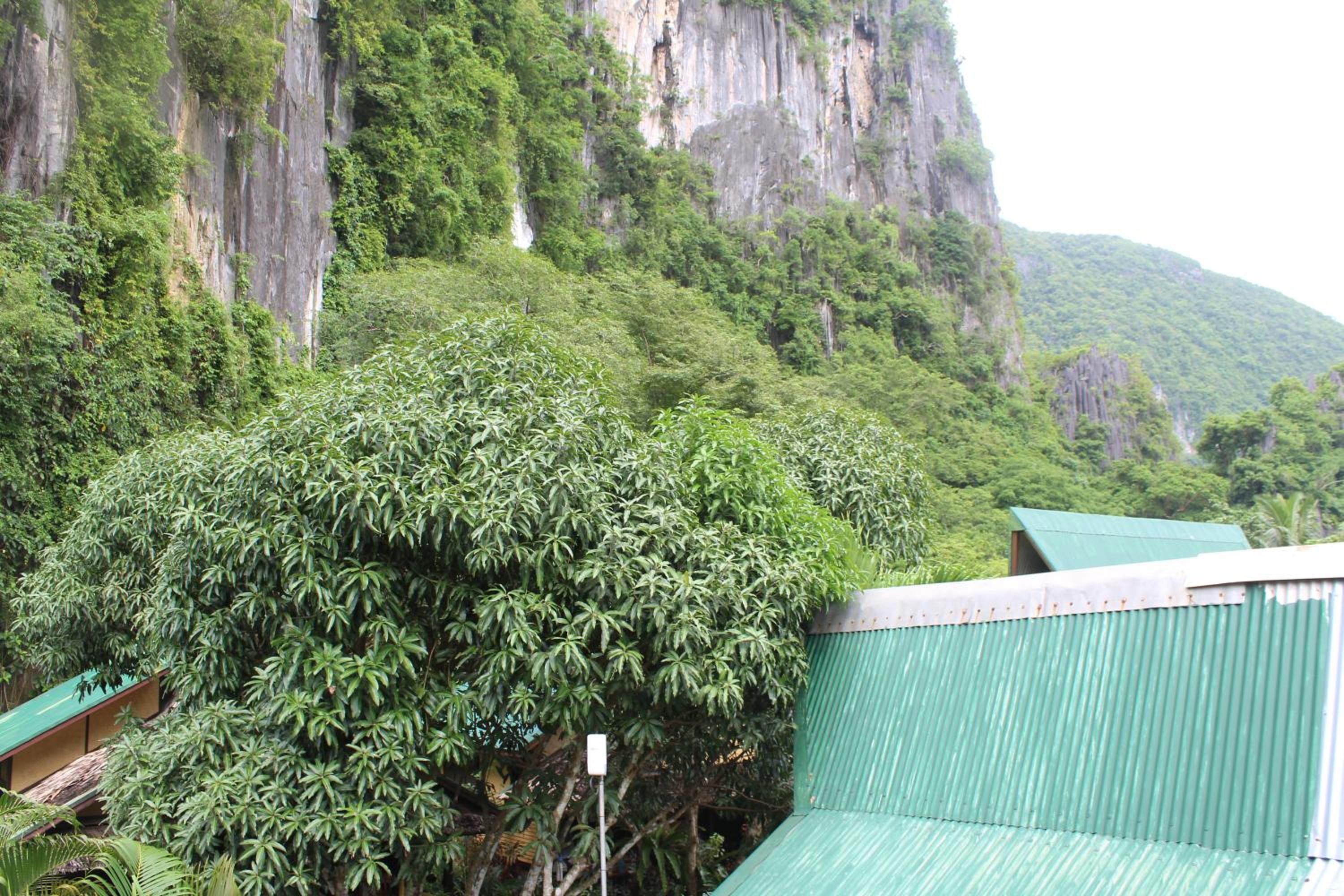 Cliffside Cottages — photo 32