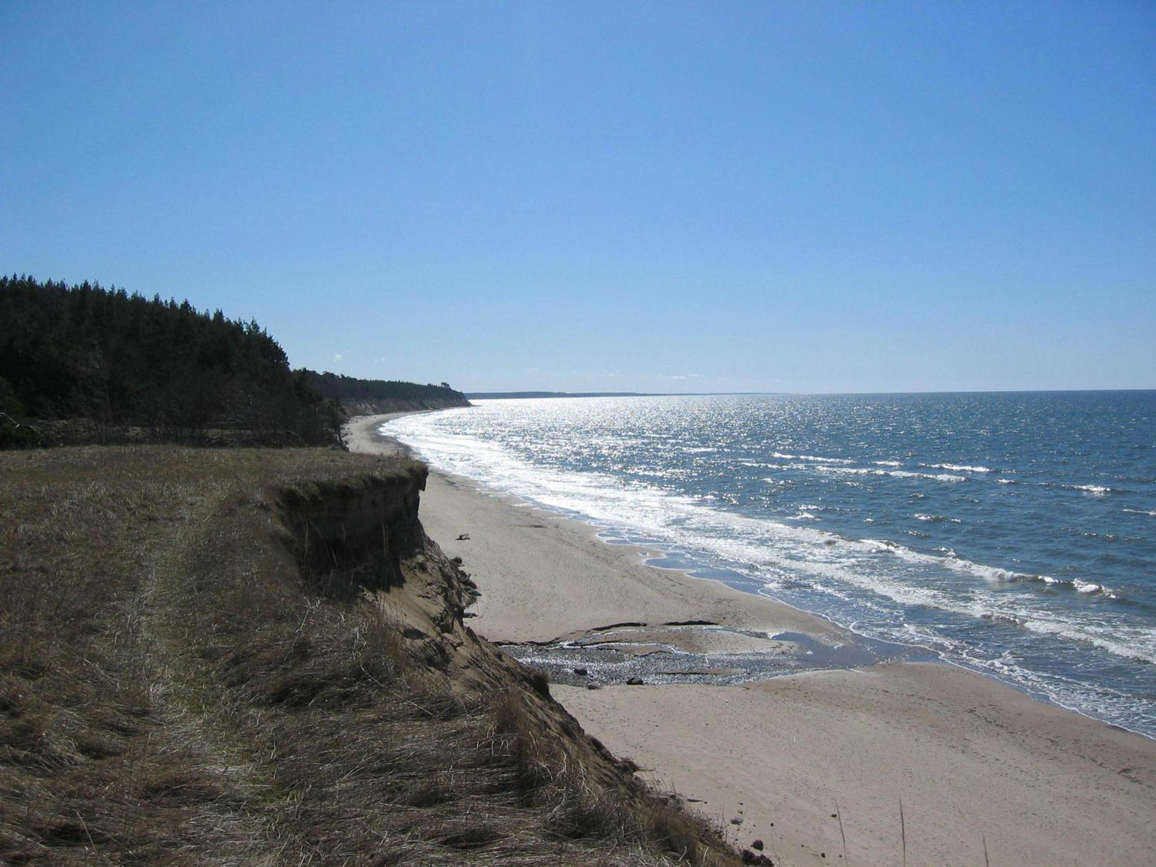 Photo 22